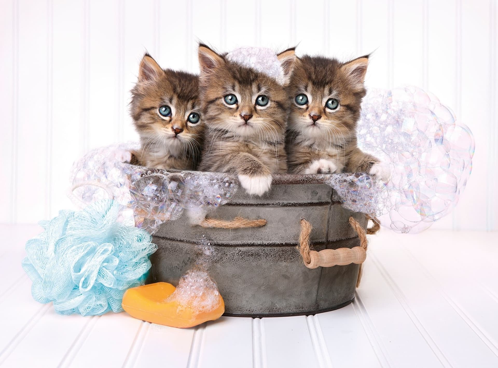 

Puzzle 500 elementów High Quality Kittens and Soap