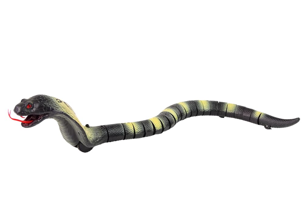 

Zdalnie Sterowany Wąż Kobra Na Pilota 44 cm Długości