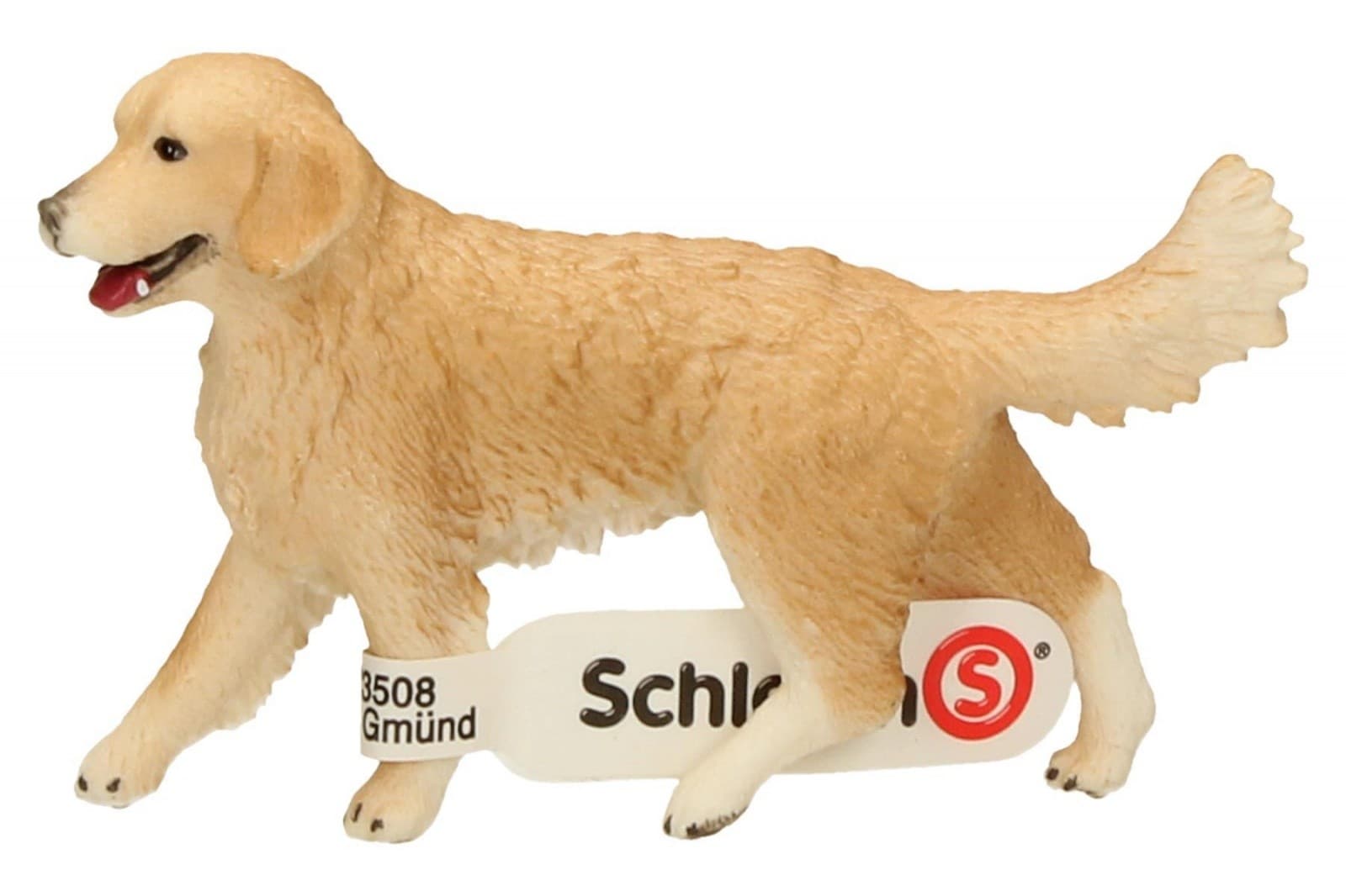 

Golden retrieve r, suczka