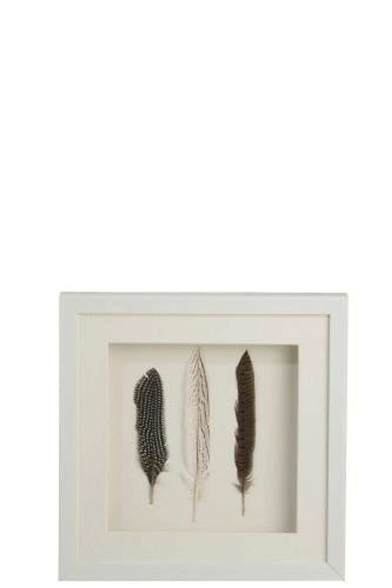 

Obraz dekoracyjny Feathers 3 white