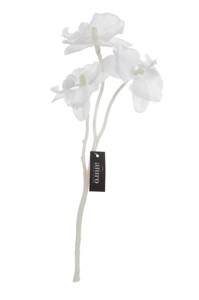 

Roślina szt. - gałązka białej orchidei_Aluro