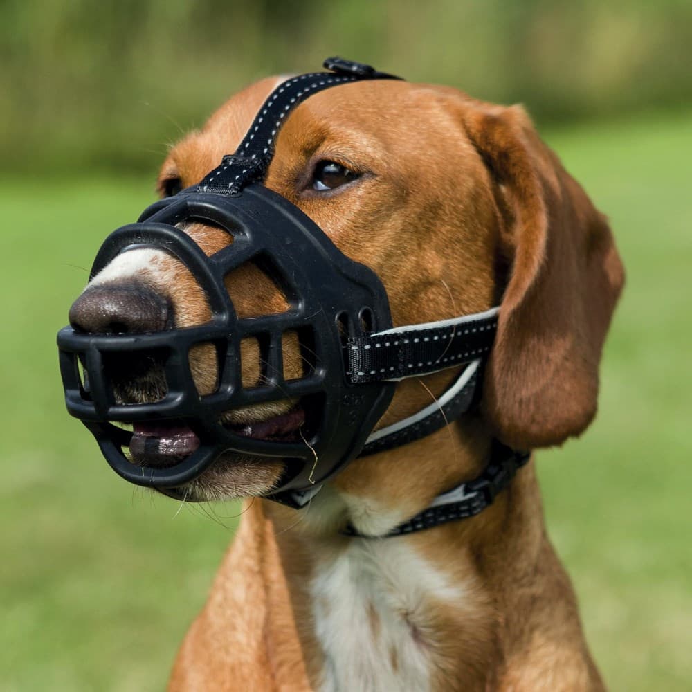 

Kaganiec Muzzle Flex, silikonowy, rozm. L–XL,czarny