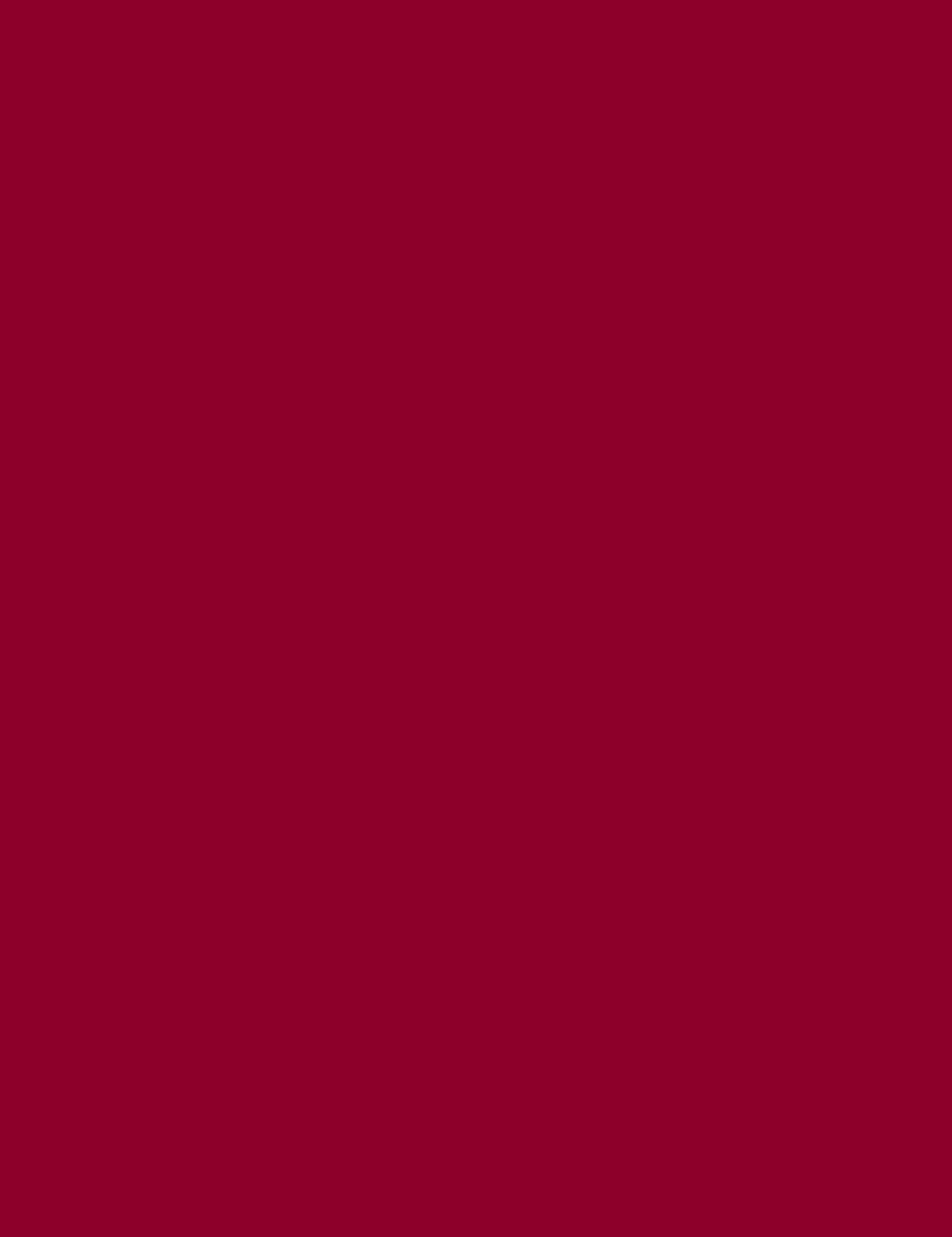 

Gabriella Salvete 102 Cherry Berry Matte Lips Pomadka 4,5ml (W)
