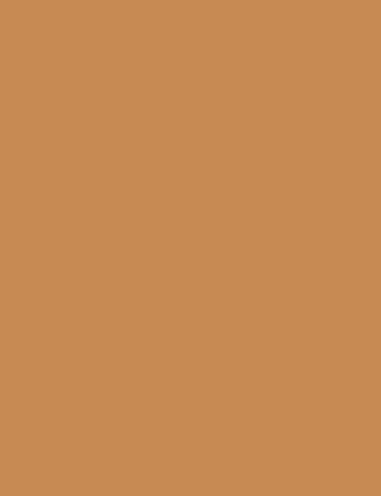 

Sisley Mat Sun Glow Gel Phyto-Touche Bronzer 30ml (W)