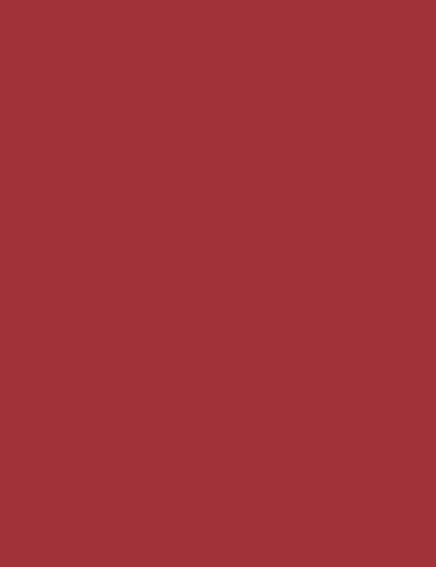 

Bourjois 11 Red Vin´tage Velvet The Pencil Pomadka 3g (W)