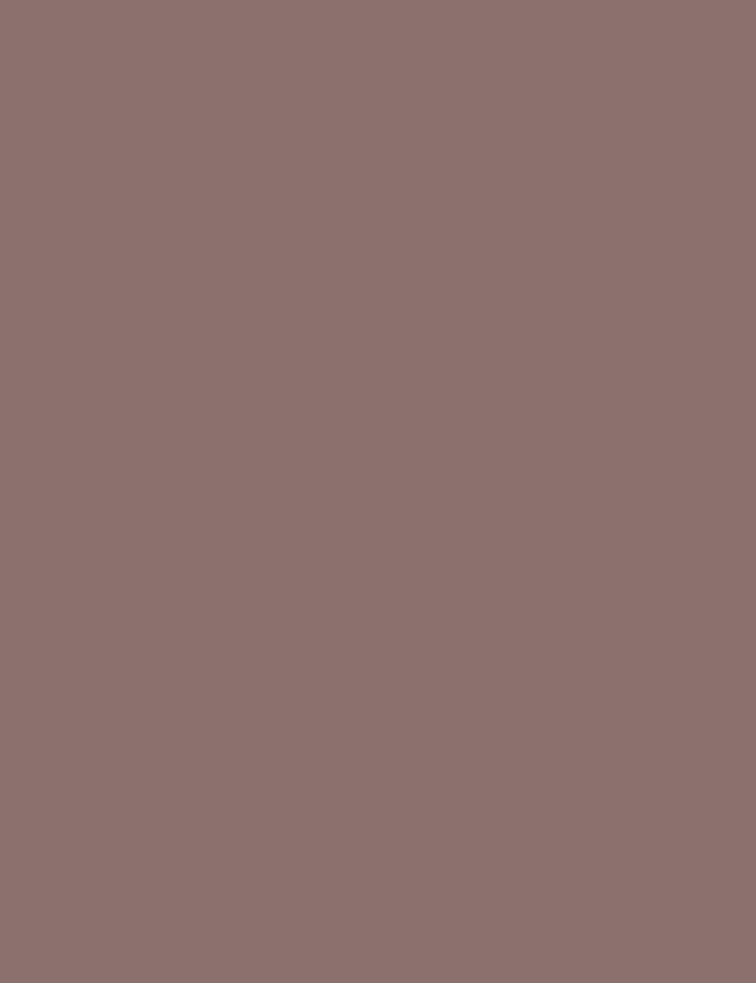 

ALCINA 010 Lightbrown Perfect Eyebrow Puder do brwi 3g (W)