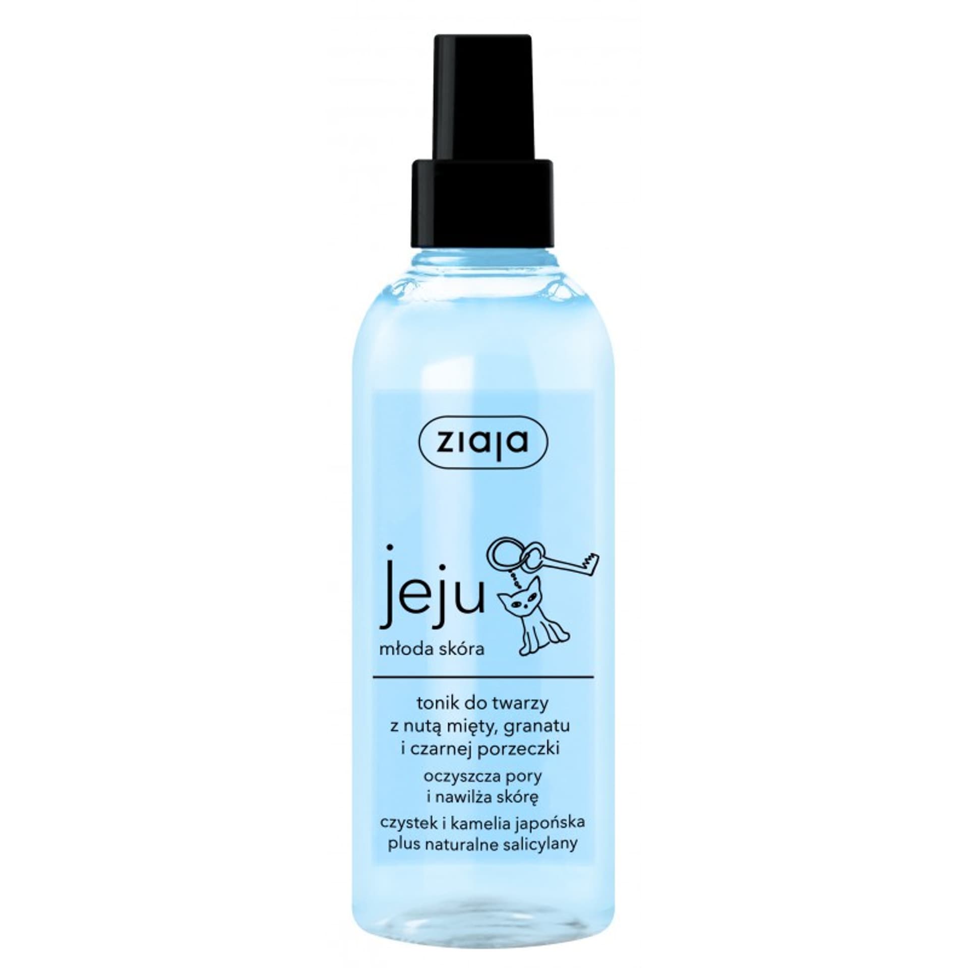

Ziaja Jeju tonik do twarzy w sprayu z nutą mięty granatu i czarnej porzeczki 200ml