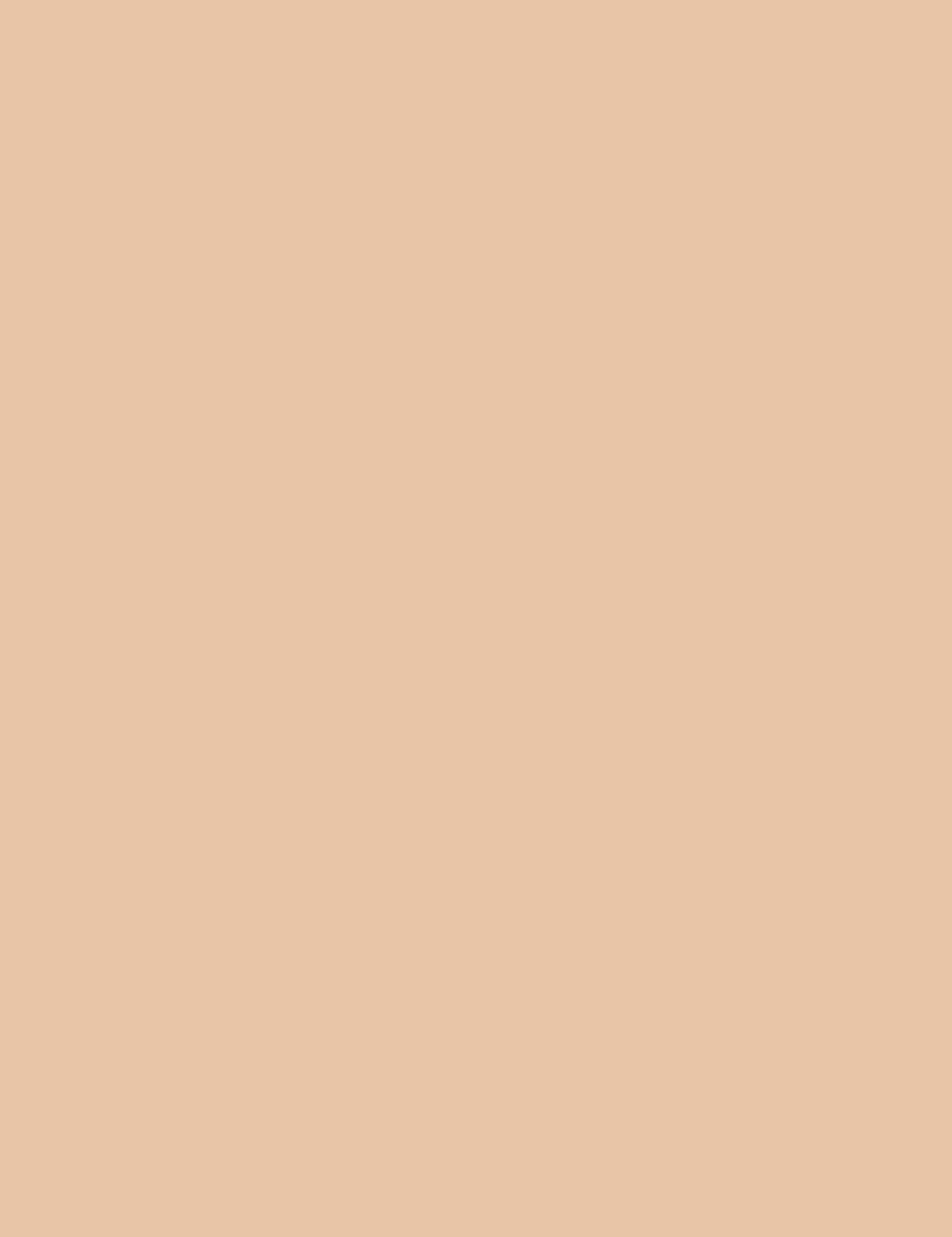 

Makeup Revolution London P2 Matte Base Puder 12g (W)