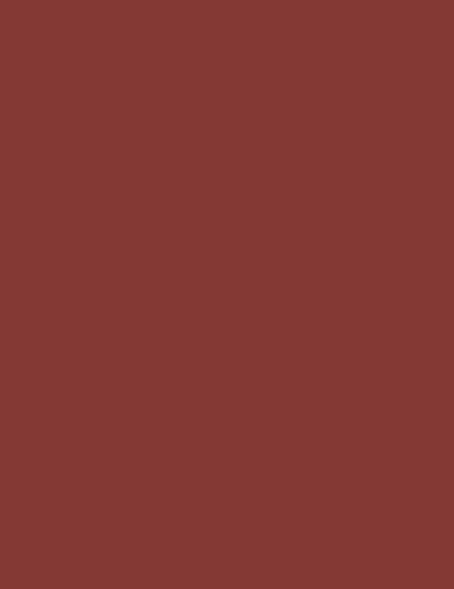 

Bourjois 11 Funky Brown Contour Edition Konturówka do ust 1,14g (W)