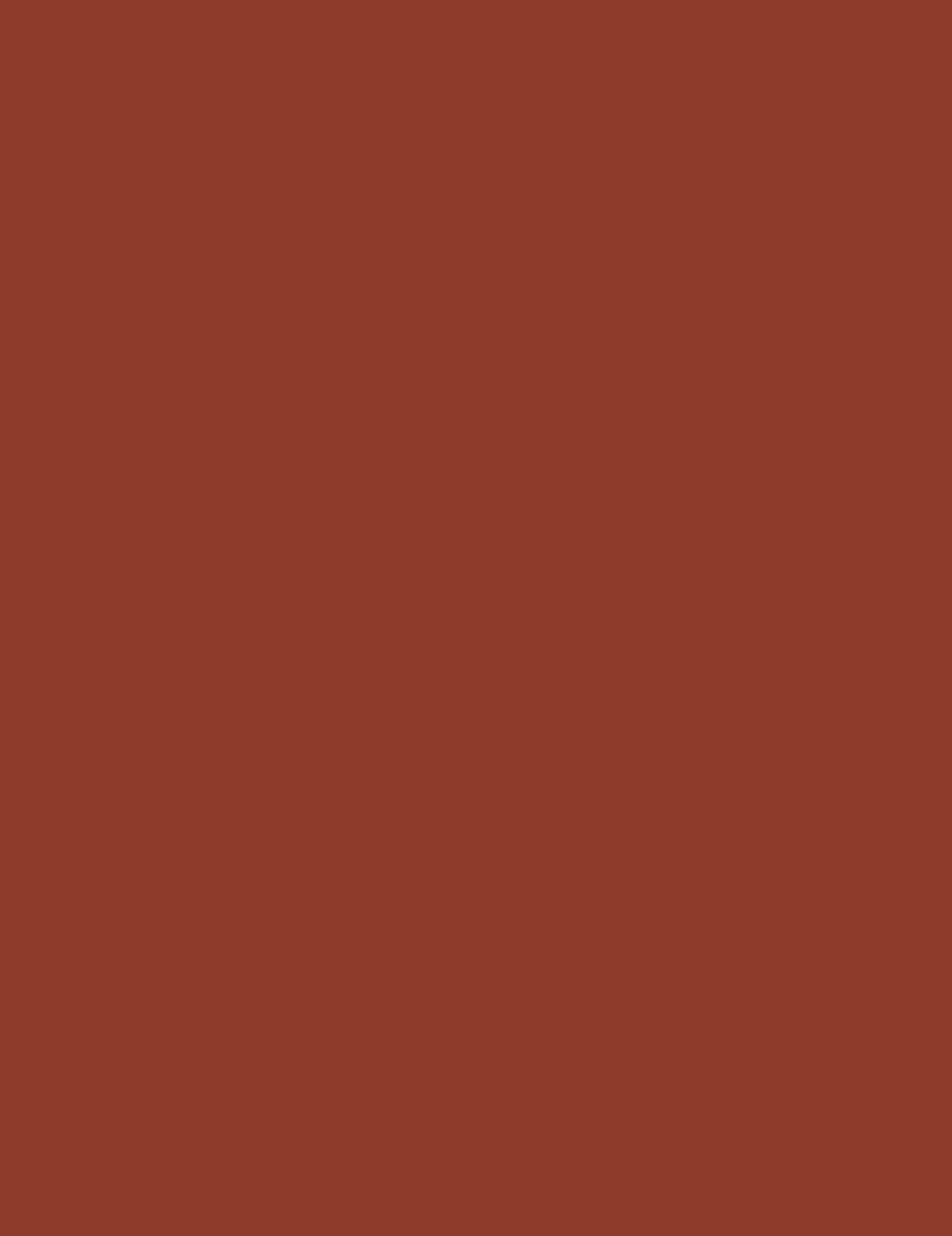 

Bourjois 10 Brun de Folie Velvet The Pencil Pomadka 3g (W)