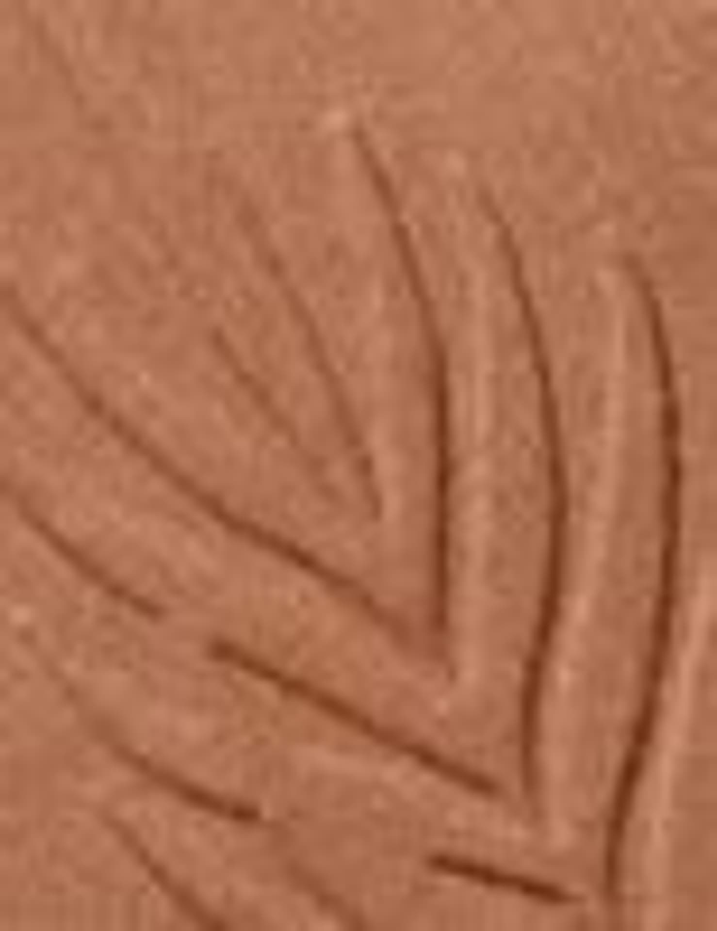 

Wet n Wild What Shady Beaches Color Icon Bronzer 11g (W)