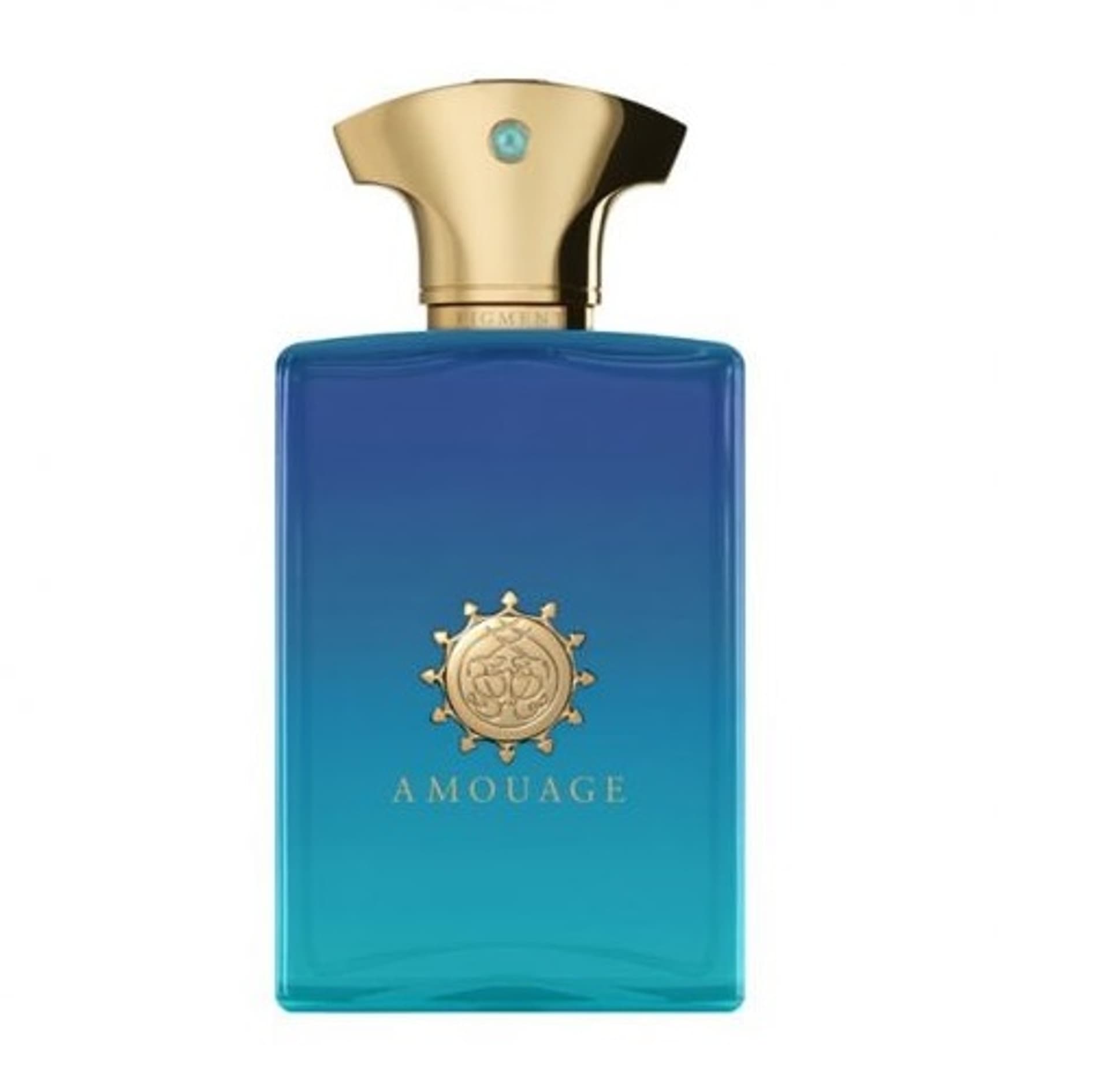 

Amouage Figment Man EDP 100ml