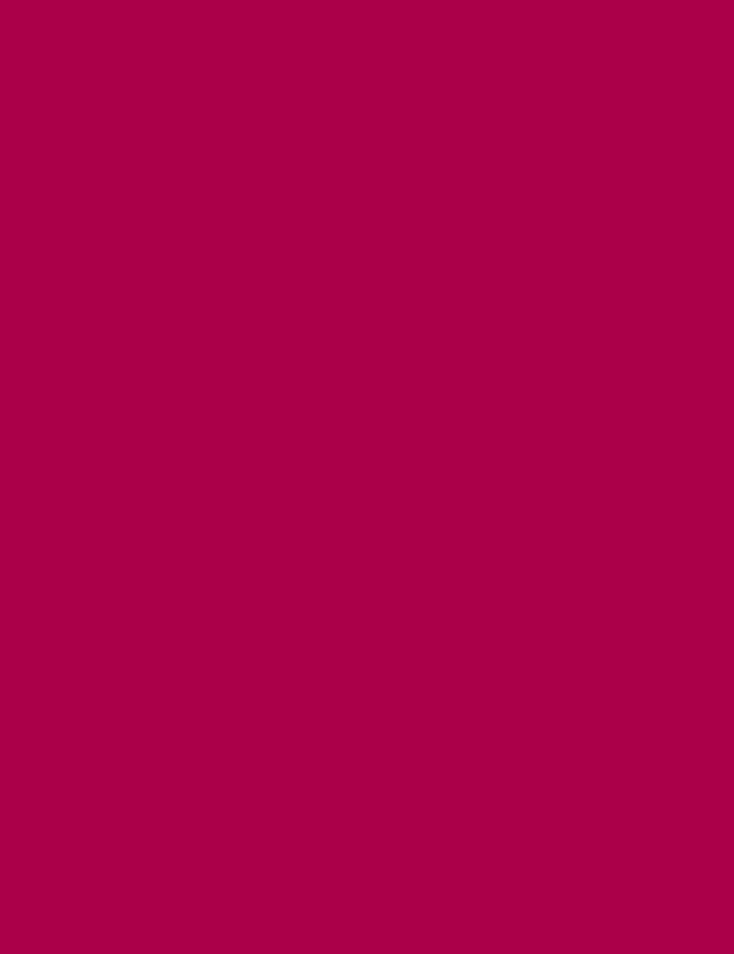 

Rimmel London 125 Indian Pink Lasting Finish Konturówka do ust 1,2g (W)