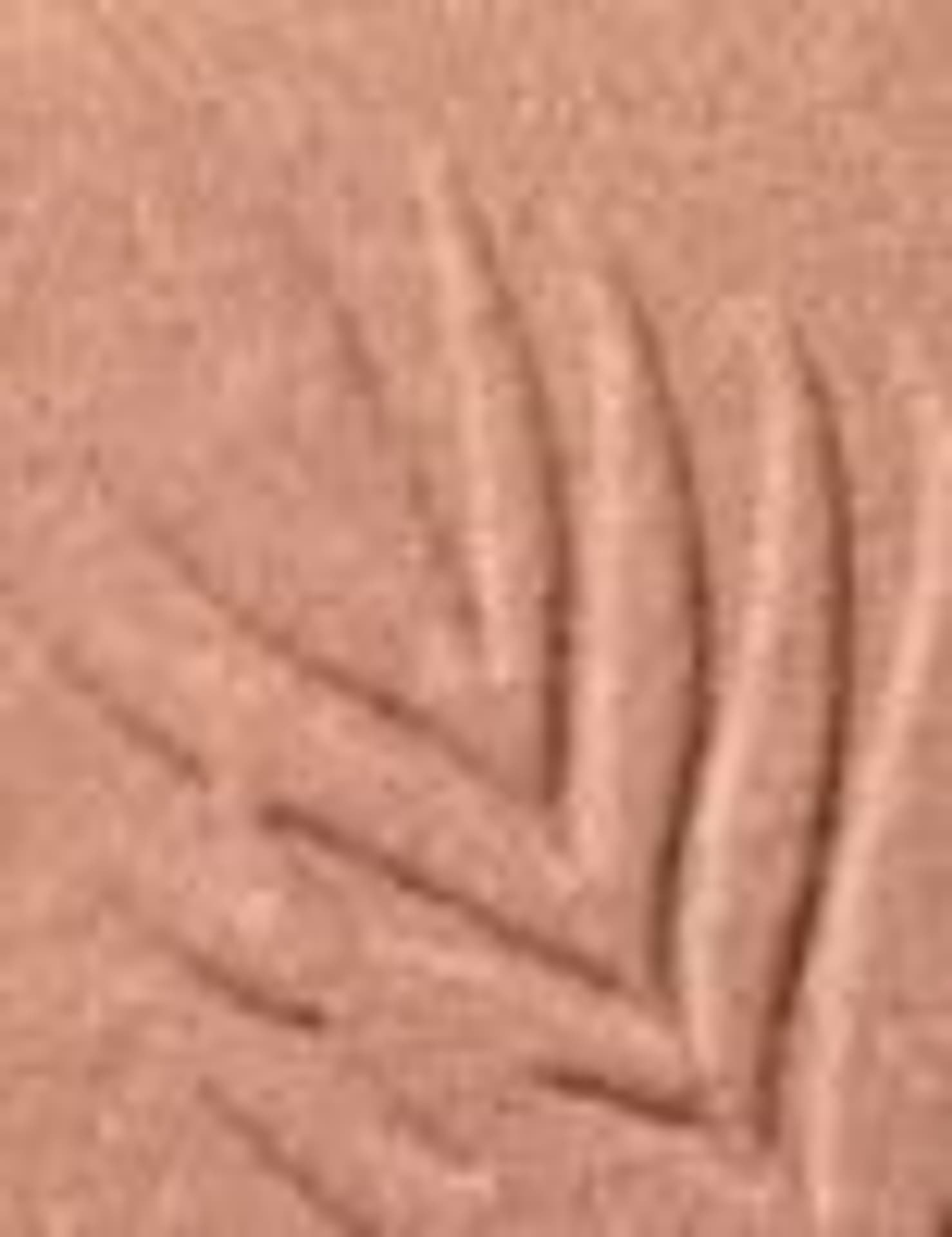 

Wet n Wild Palm Beach Ready Color Icon Bronzer 11g (W)