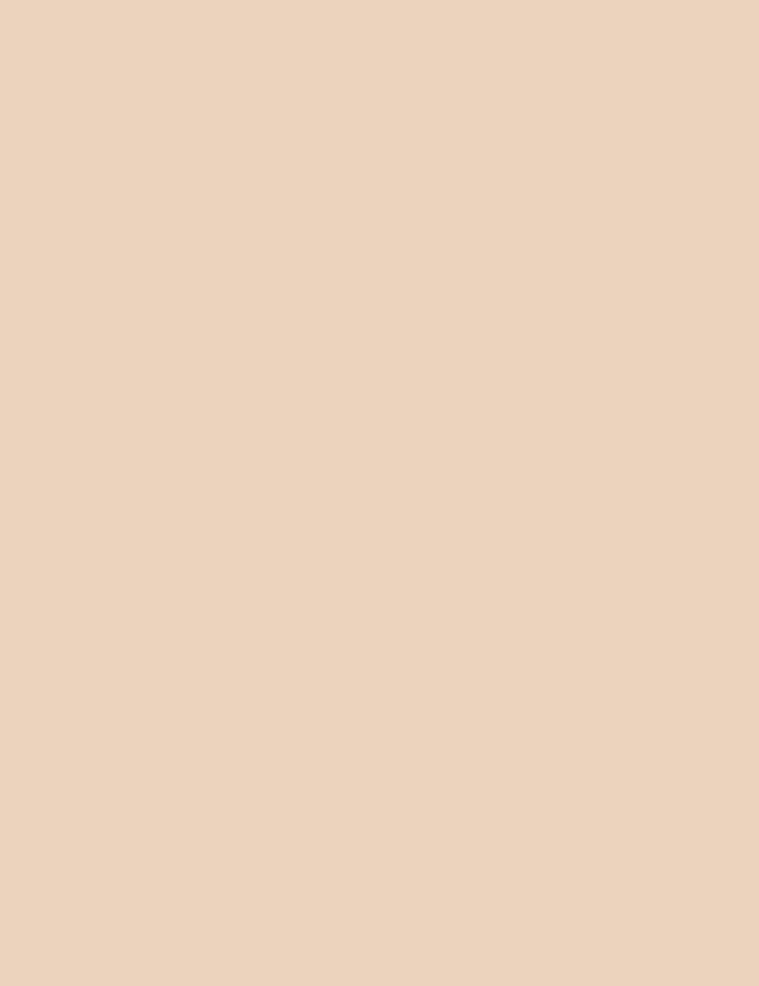 

Makeup Revolution London C2 Infinite Conceal Define Korektor 5ml (W)