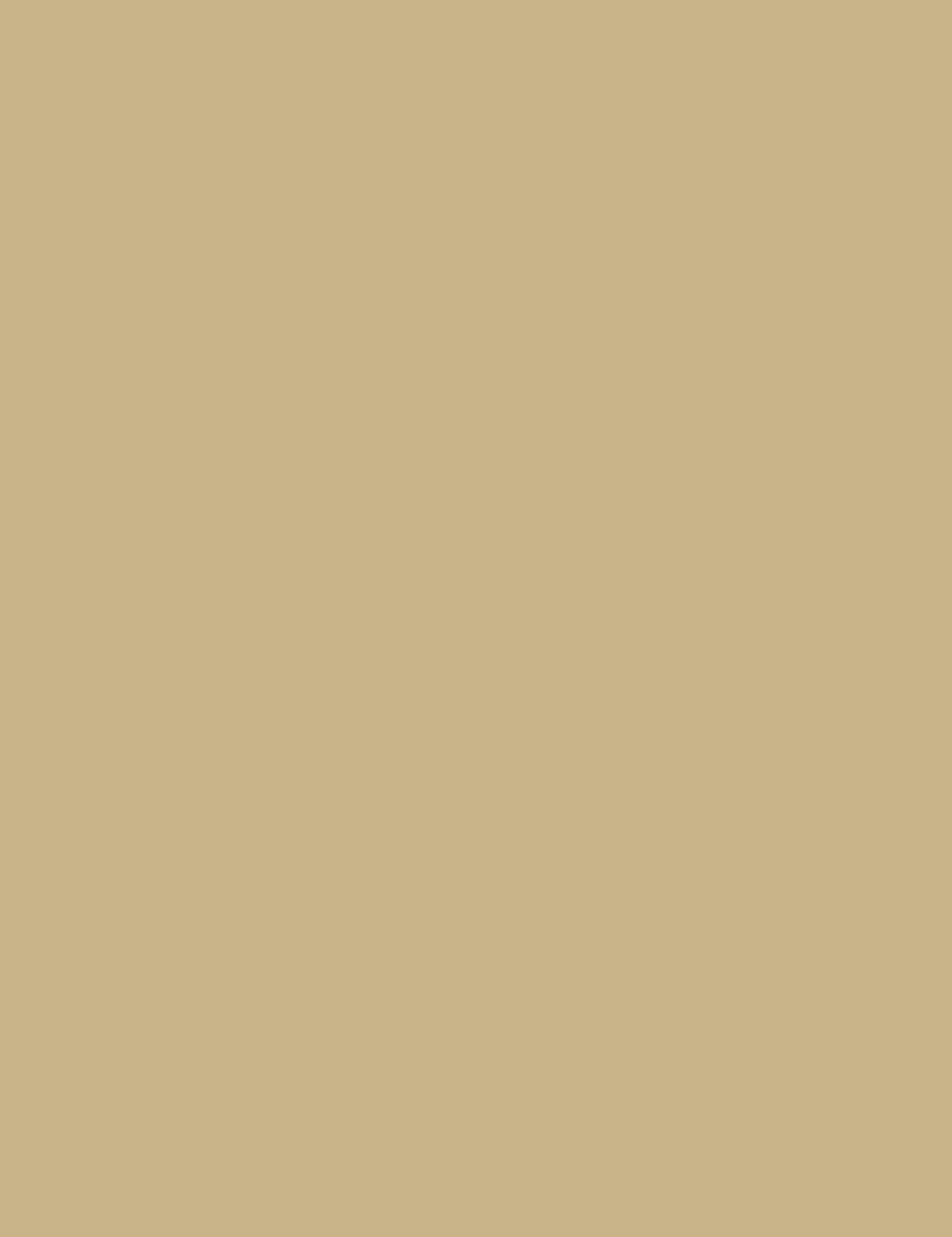 

Gabriella Salvete 46 Nude Longlasting Enamel Lakier do paznokci 11ml (W)