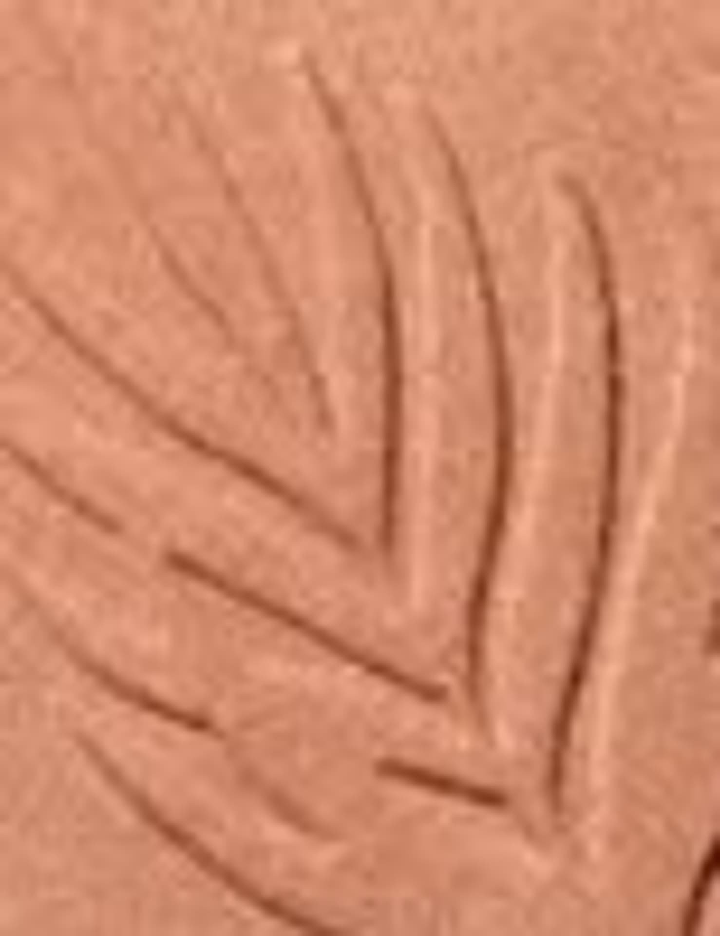 

Wet n Wild Ticket To Brazil Color Icon Bronzer 11g (W)