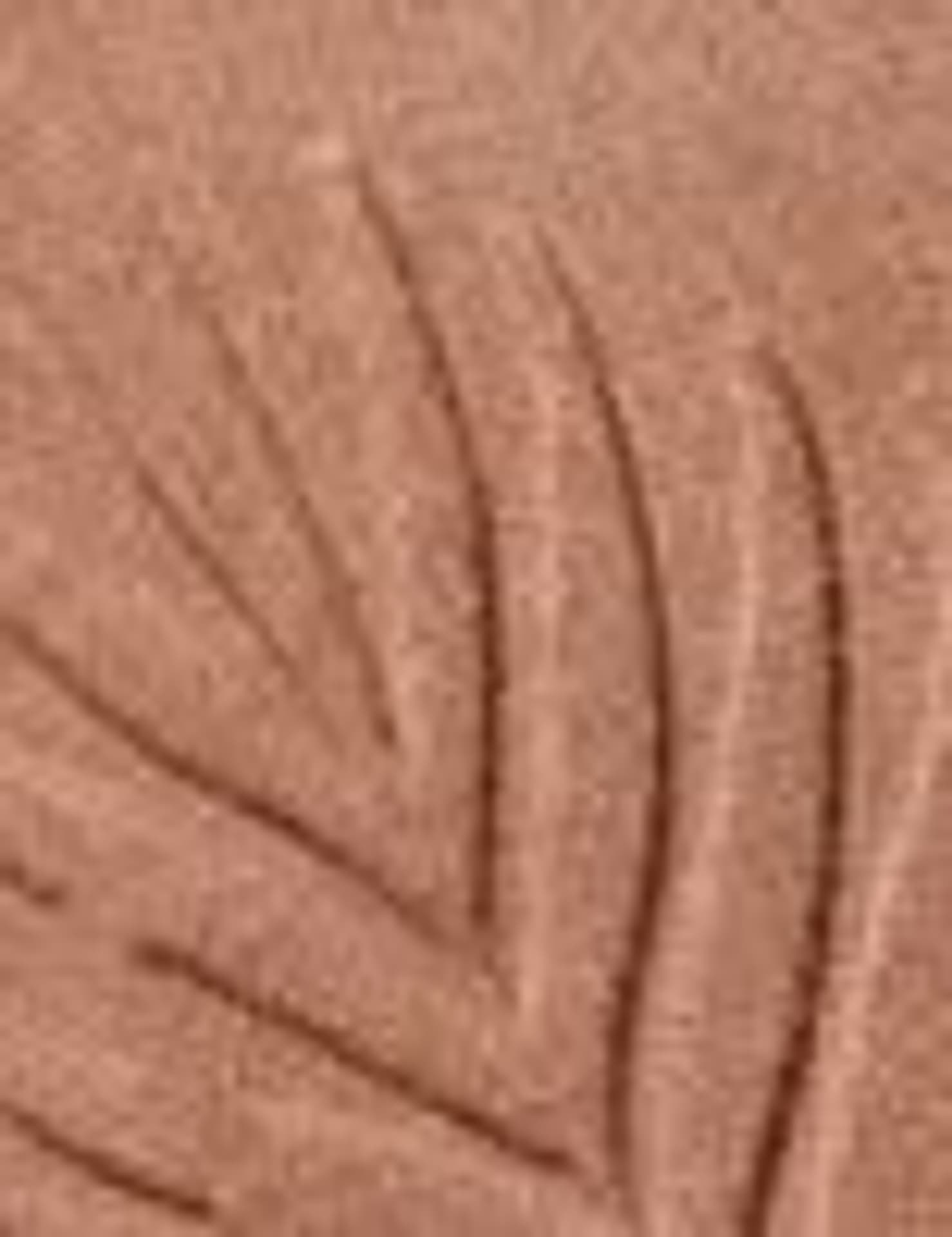 

Wet n Wild Sunset Striptease Color Icon Bronzer 11g (W)