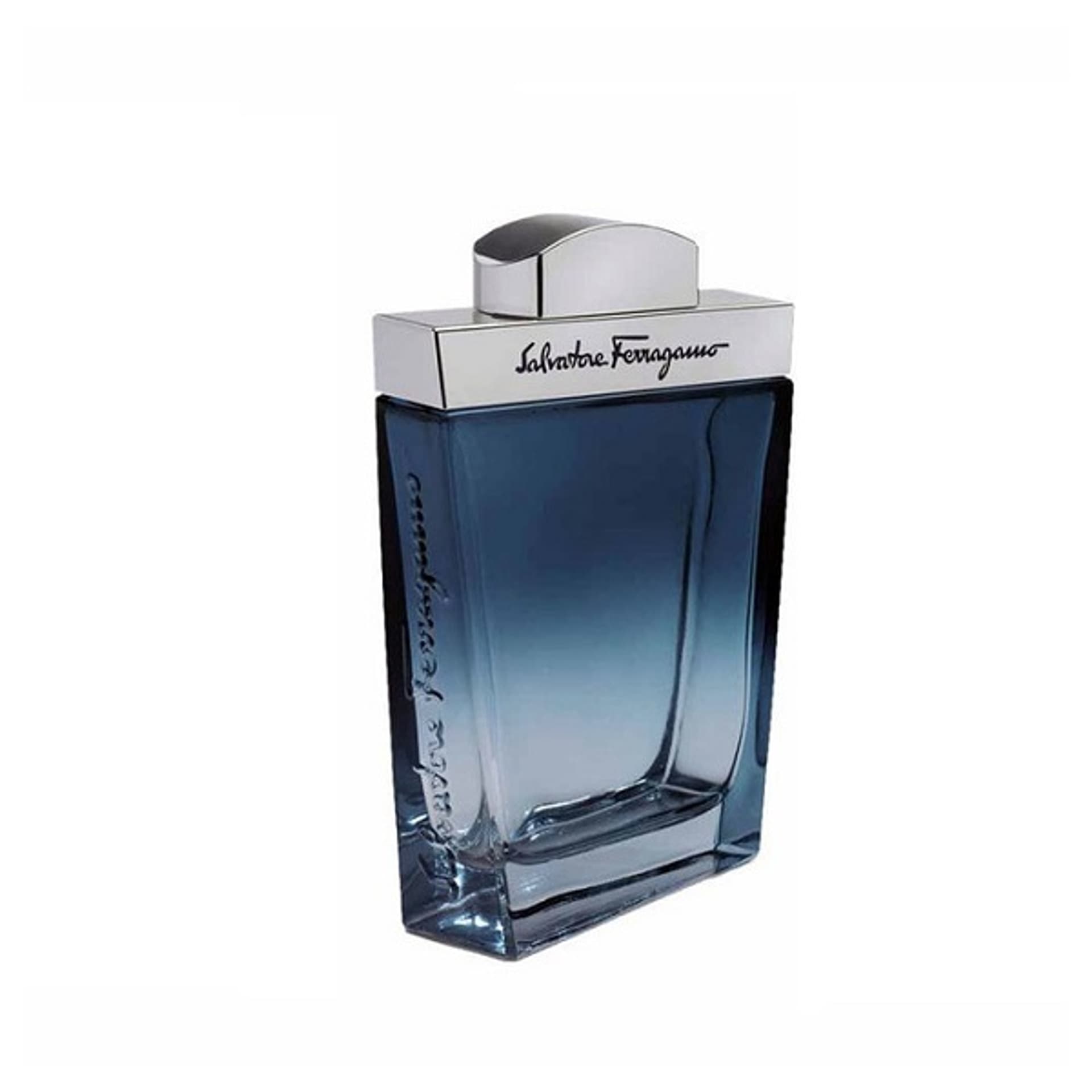 

Salvatore Ferragamo Subtil Pour Homme EDT 100ml (M)