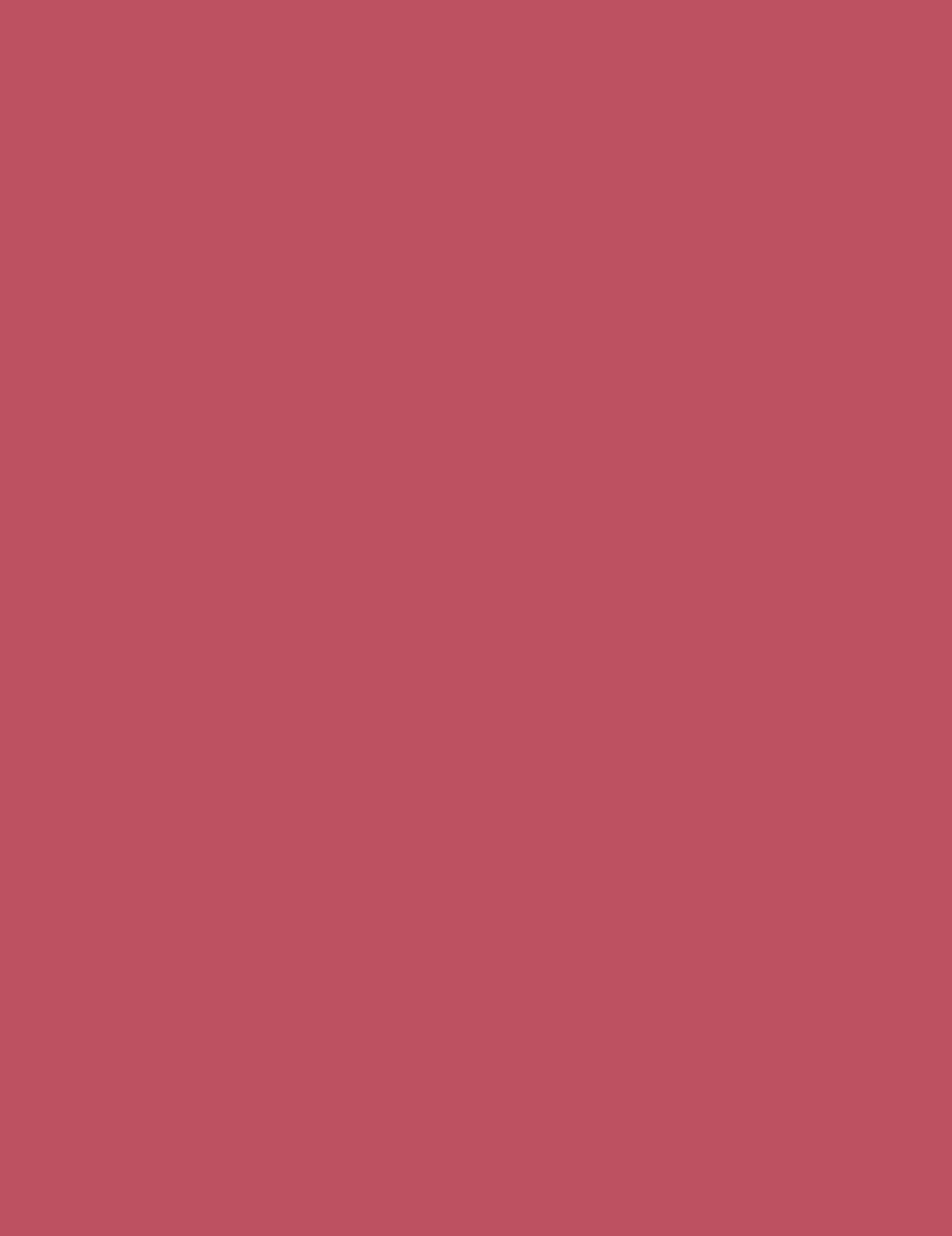 

Revolution Pro Struck Satin Matte Lipstick New Neutral Pomadka 3,2g (W)