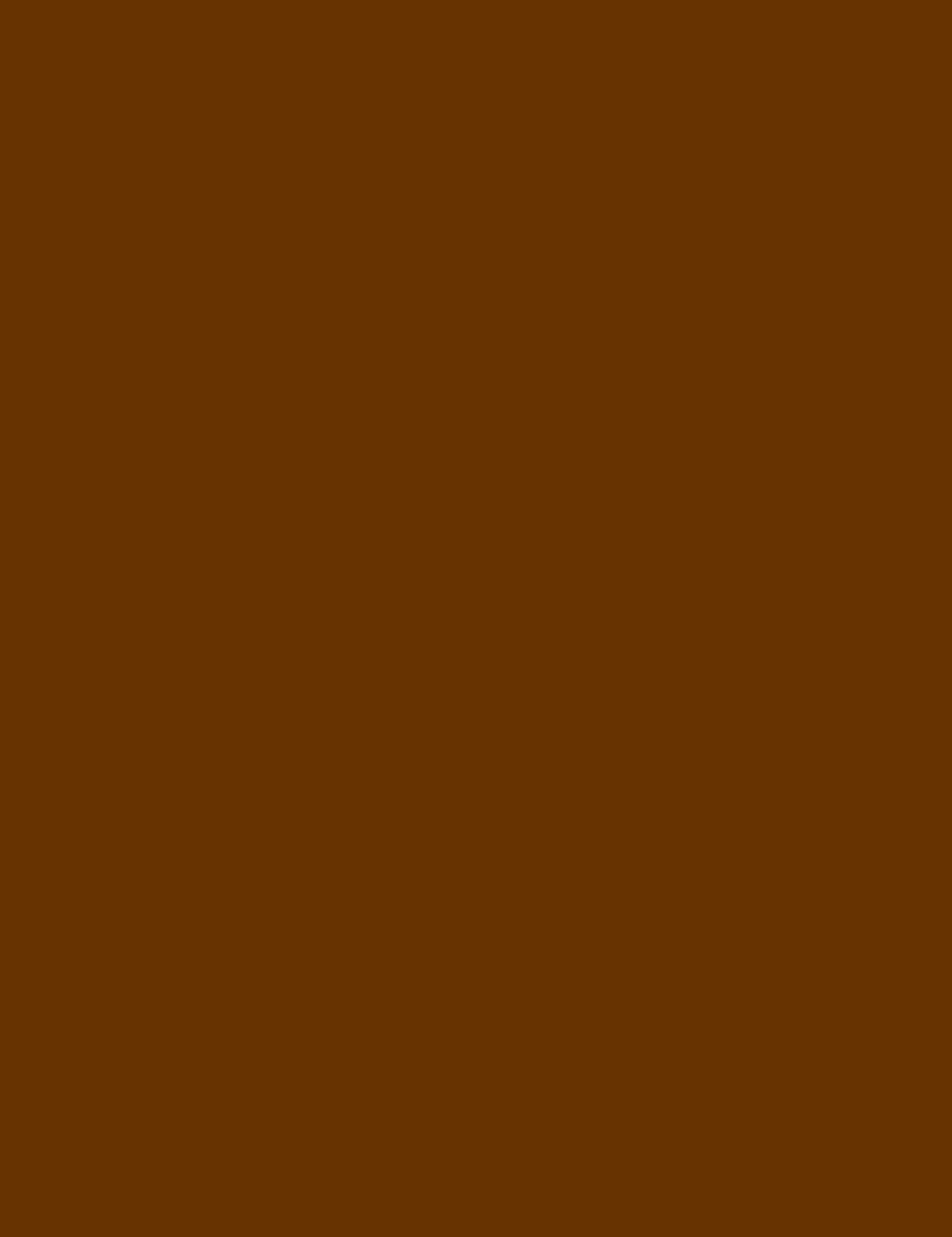 

Max Factor 06 Brown Excess Intensity Kredka do oczu 2g (W)
