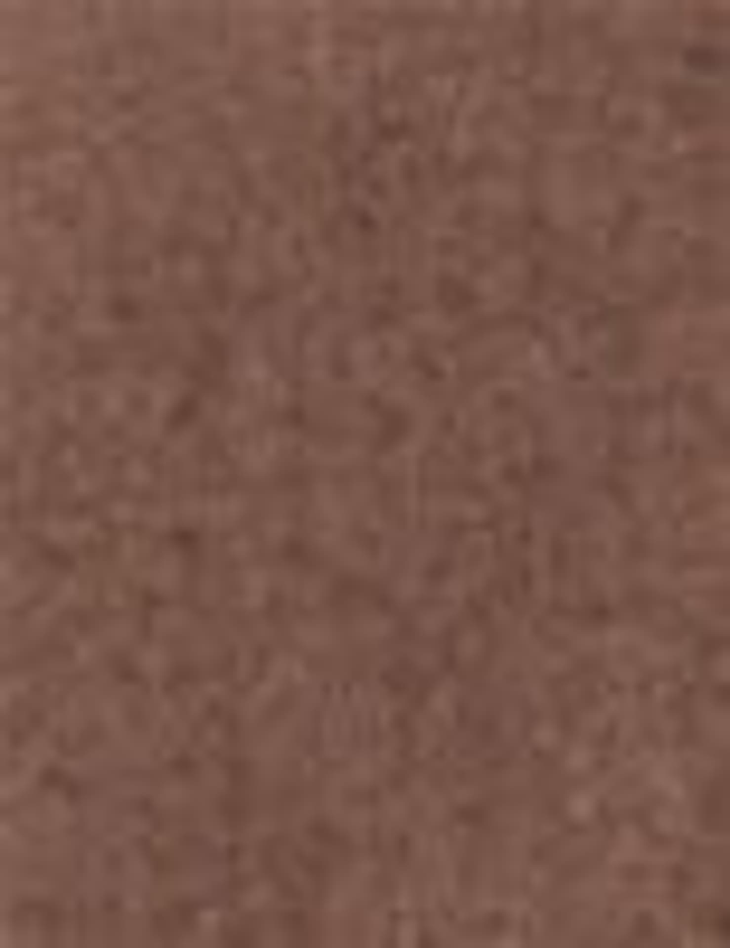 

L´Oréal Paris 02 Force Matte Oil Eyeshadow Color Queen Cienie do powiek 4g (W)
