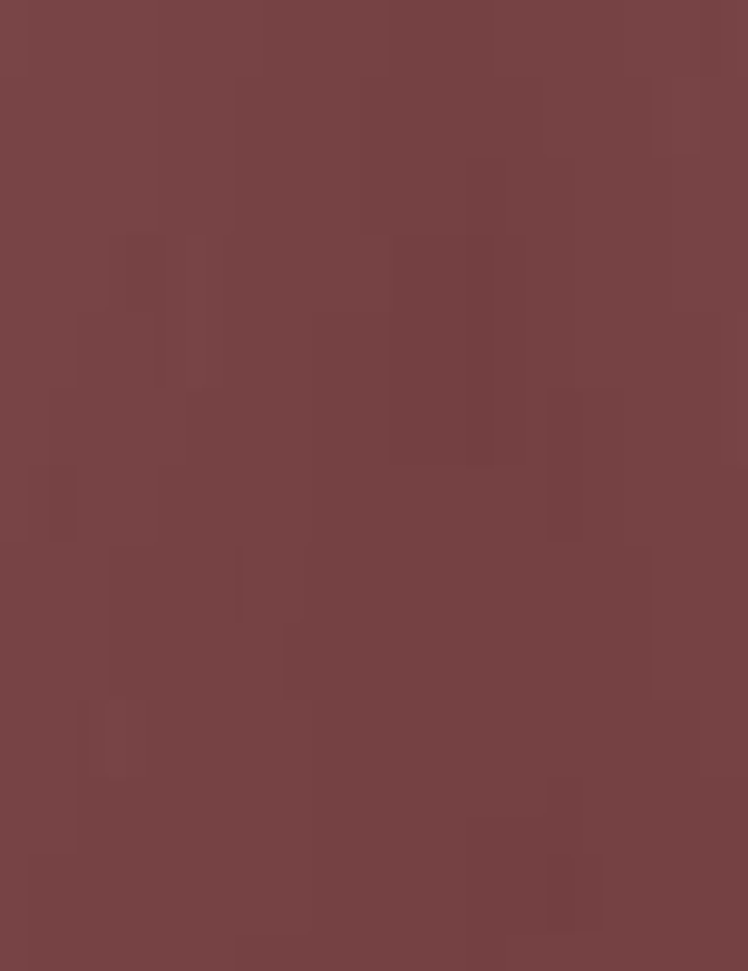 

L´Oréal Paris 129 Montmartre Color Riche Pomadka 4,8g (W)