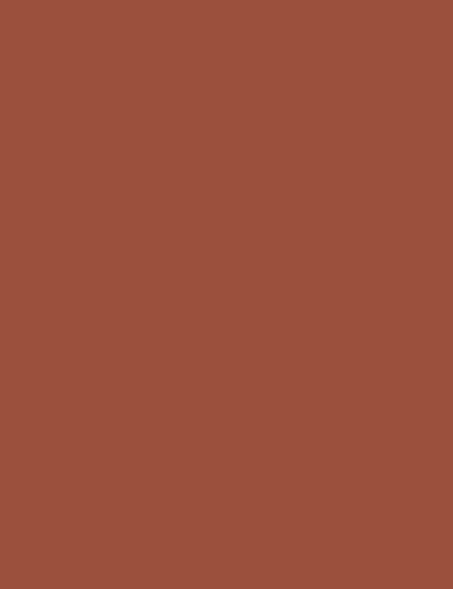 

L´Oréal Paris 07 Copper Signature Matte Signature Eyeliner 3ml (W)
