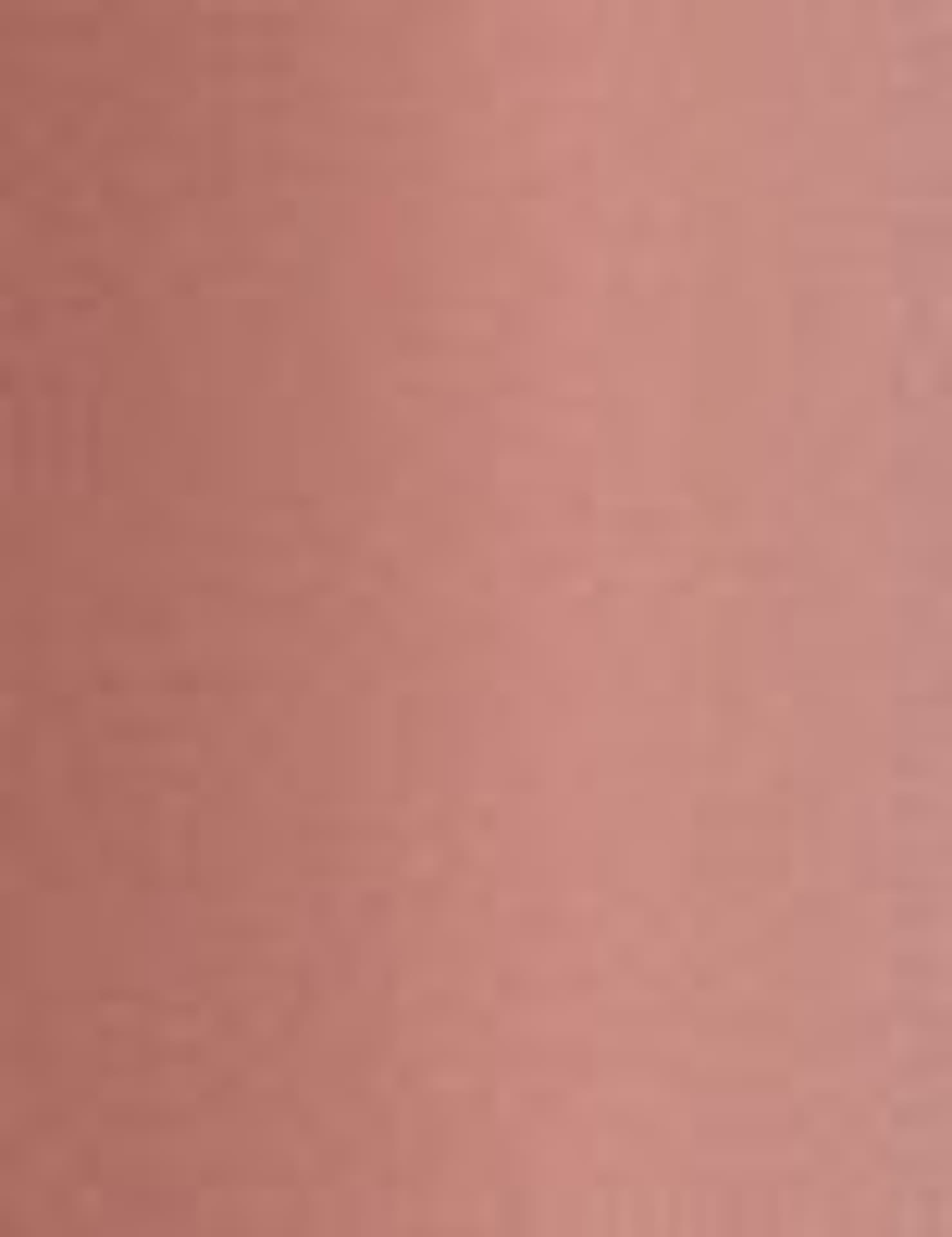 

Bourjois 02 Belle Inco-Nude Ink Rouge Velvet Pomadka 3,5ml (W)