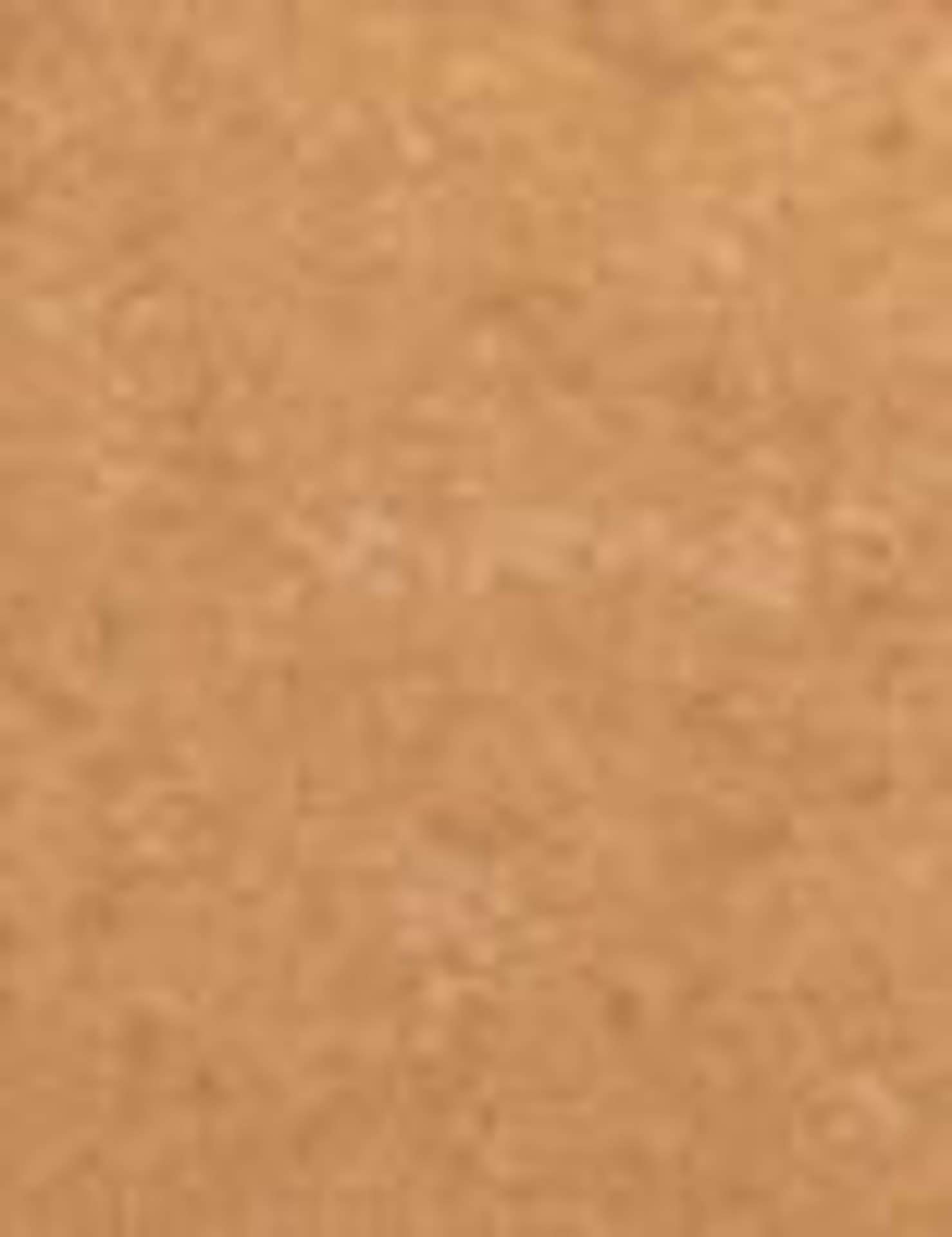 

L´Oréal Paris 06 Precious Bronze Cream Eyeshadow Age Perfect Cienie do powiek 4ml (W)