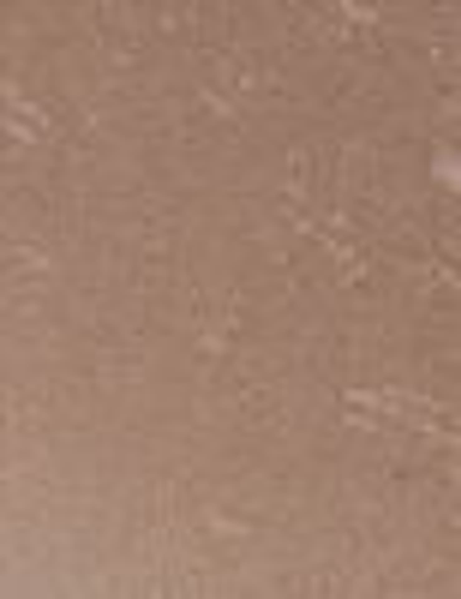

L´Oréal Paris 04 Timeless Taupe Cream Eyeshadow Age Perfect Cienie do powiek 4ml (W)