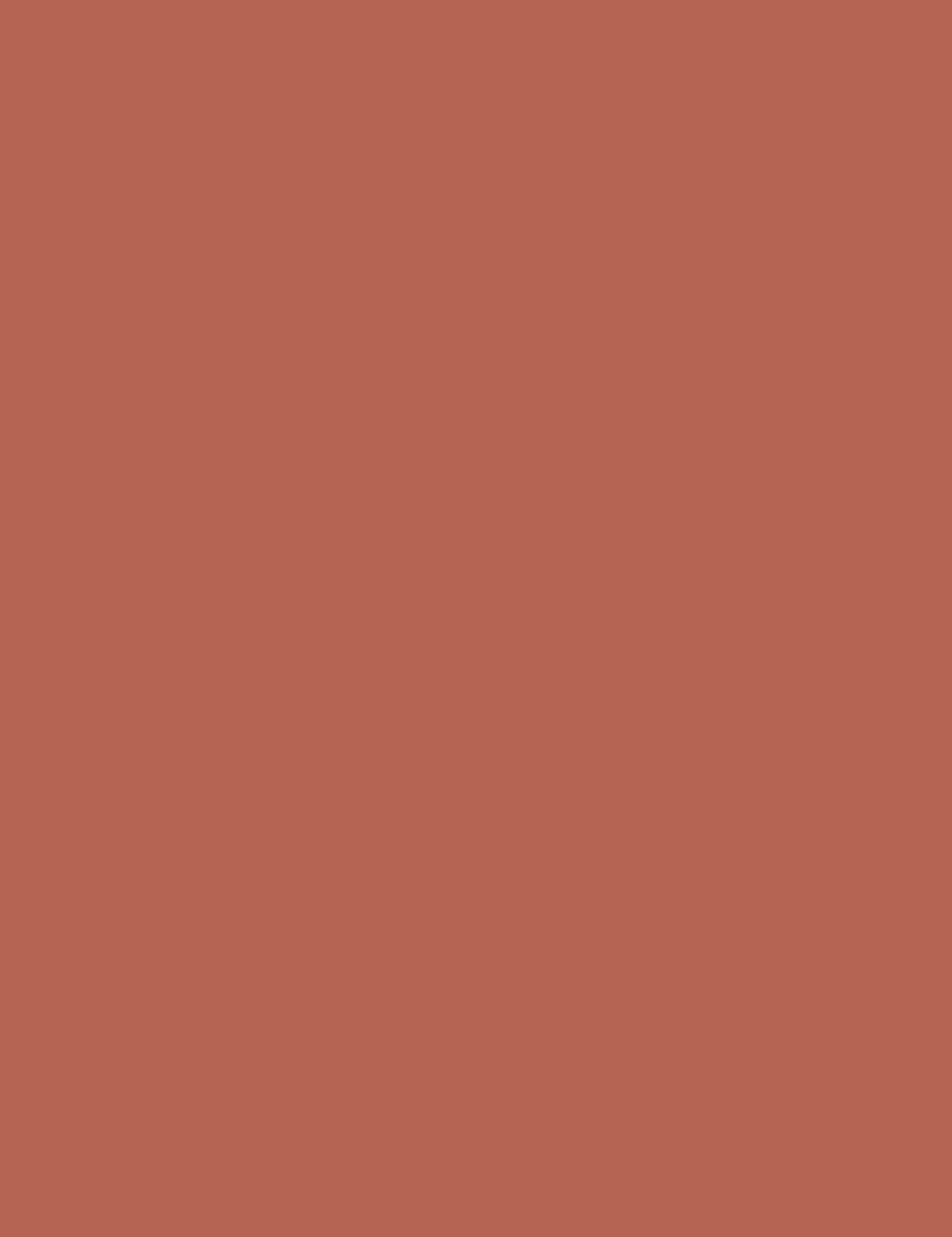 

Makeup Revolution London Delicate Brown Matte Bomb Pomadka 4,6ml (W)