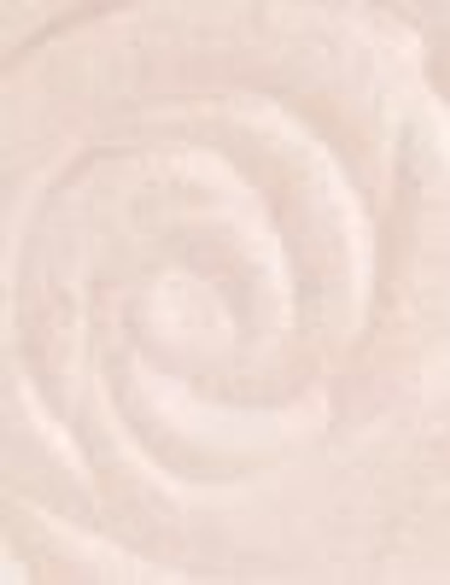 

Revolution Pro White Rose Face Body Highlighter Eternal Rose Rozświetlacz 18g (W)