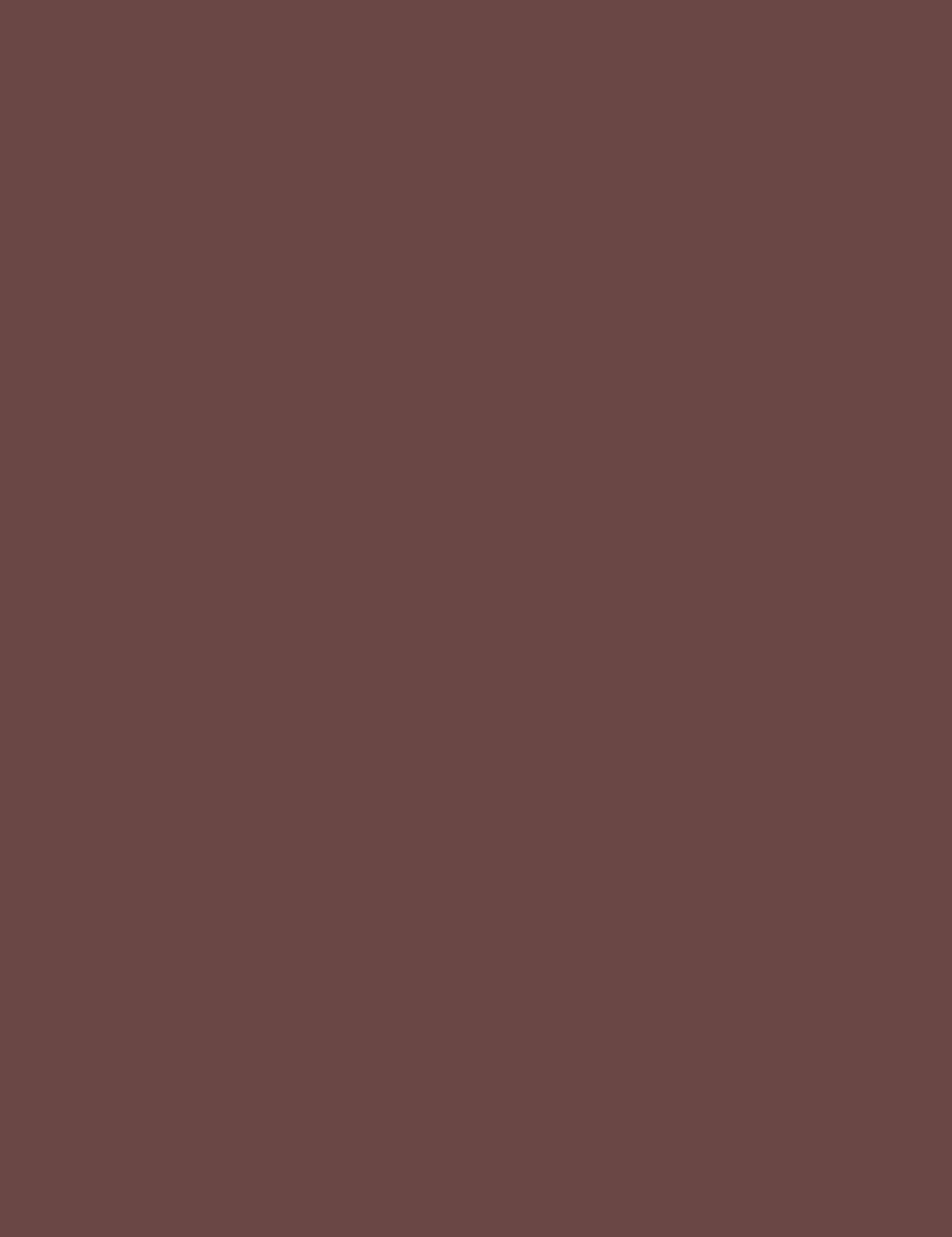 

Revolution Pro Chocolate Brow Styler Rockstar Kredka do brwi 0,25g (W)