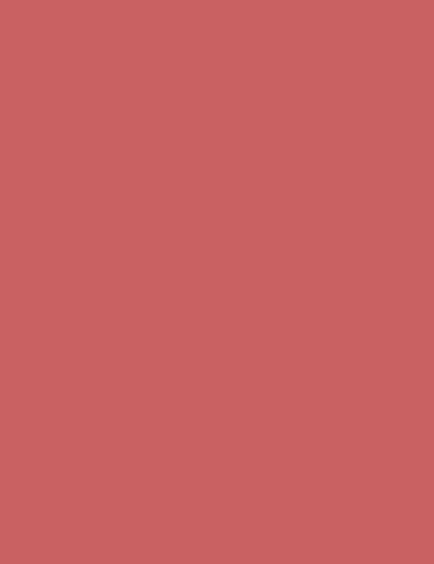 

L´Oréal Paris 320 Be Feminist Wild Nudes Brilliant Signature Pomadka 6,4ml (W)
