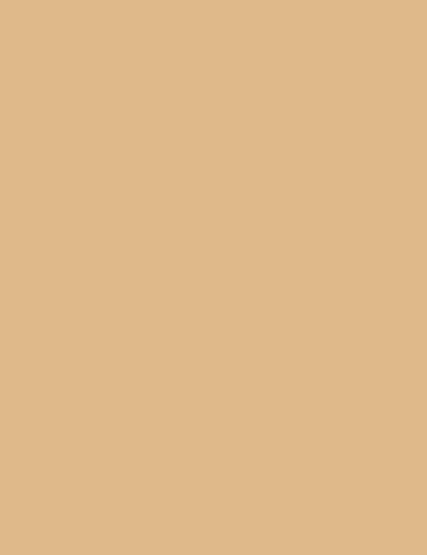 

Bourjois 310 Beige Matte Powder Always Fabulous Puder 10g (W)