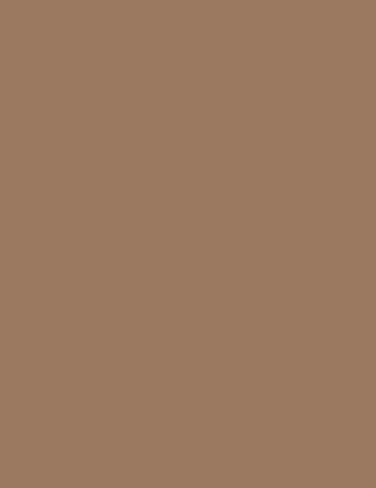

Bourjois 002 Soft Brown Précision Brow Reveal Kredka do brwi 1,4g (W)