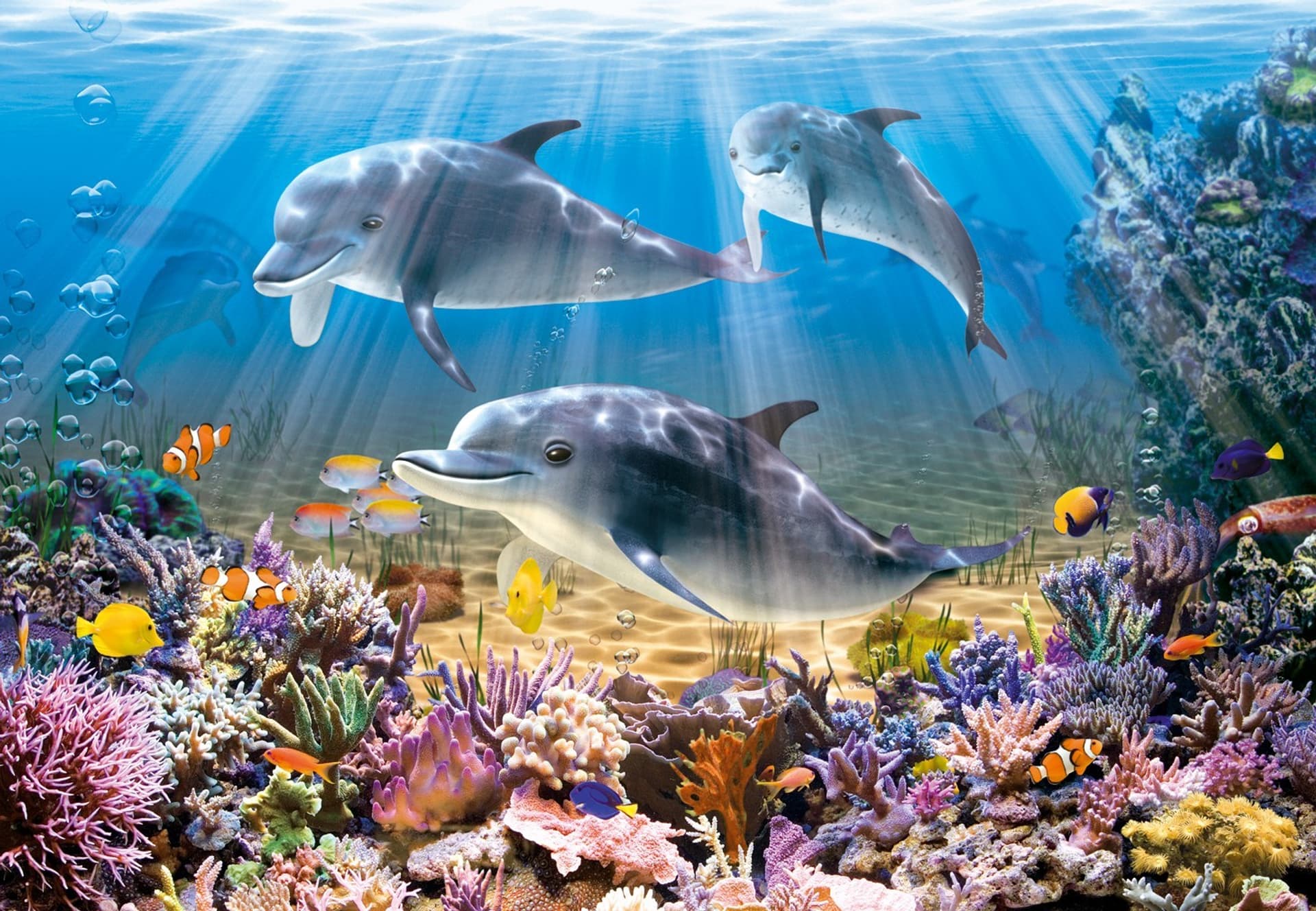 

Puzzle 500 Elementów Delfiny
