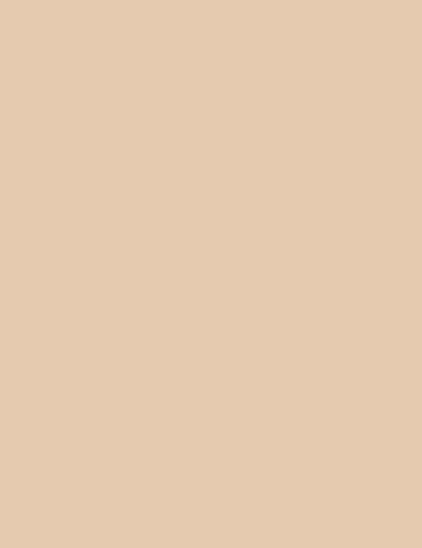 

Gabriella Salvete Longlasting Liquid Corrector Korektor do twarzy 02 Cover Me! 9 ml (W)