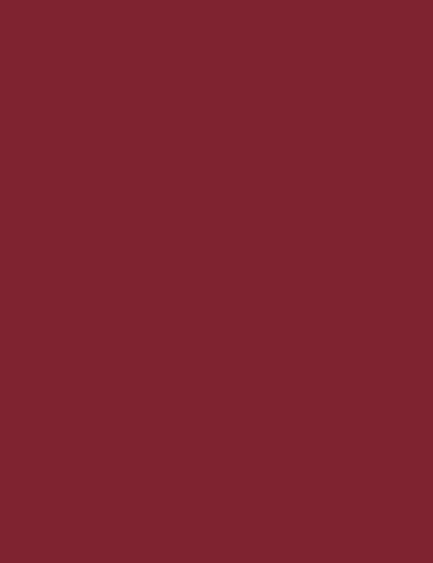 

Gabriella Salvete Matte Lips pomadka do ust 03 Mulled Wine Winter Time 4,5 ml (W)