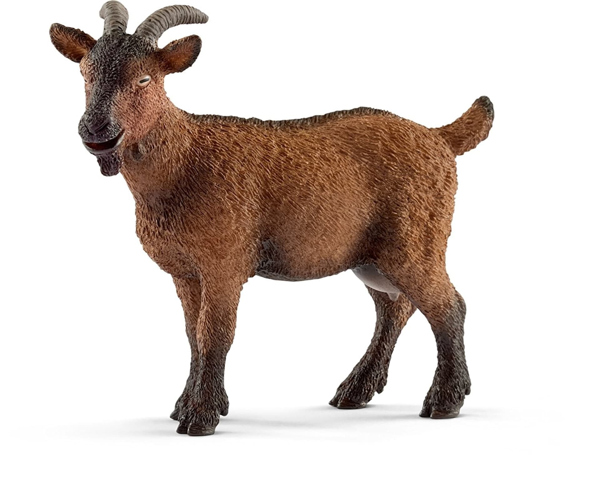 

Koza