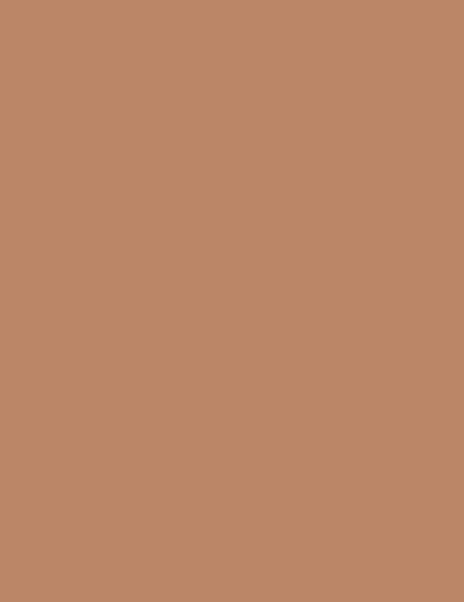

Max Factor 002 Warm Tan Bronzer Powder Facefinity Bronzer 10g (W)