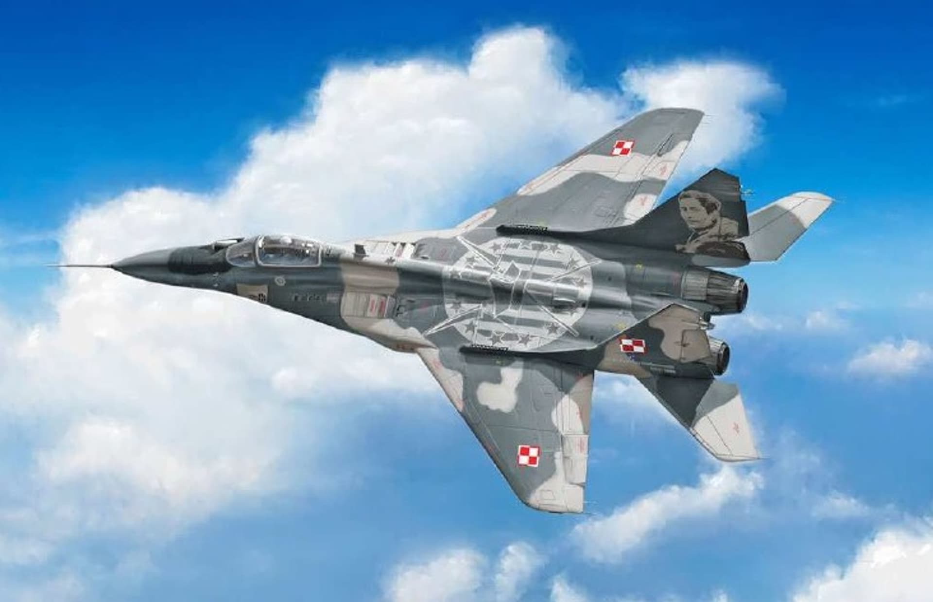 

Mig-29 Fulcrum