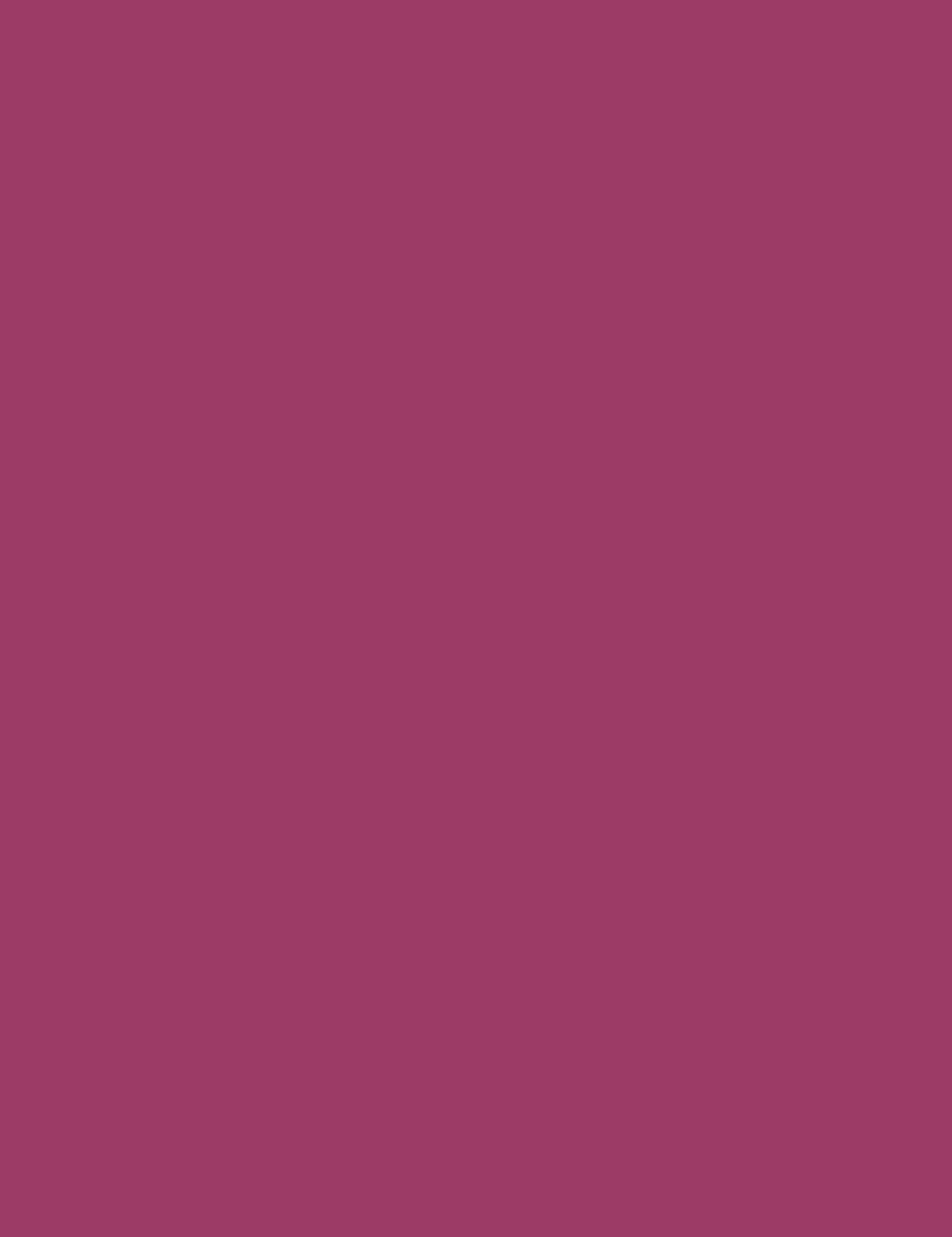 

Max Factor 120 Midnight Mauve Colour Elixir Pomadka 4g (W)
