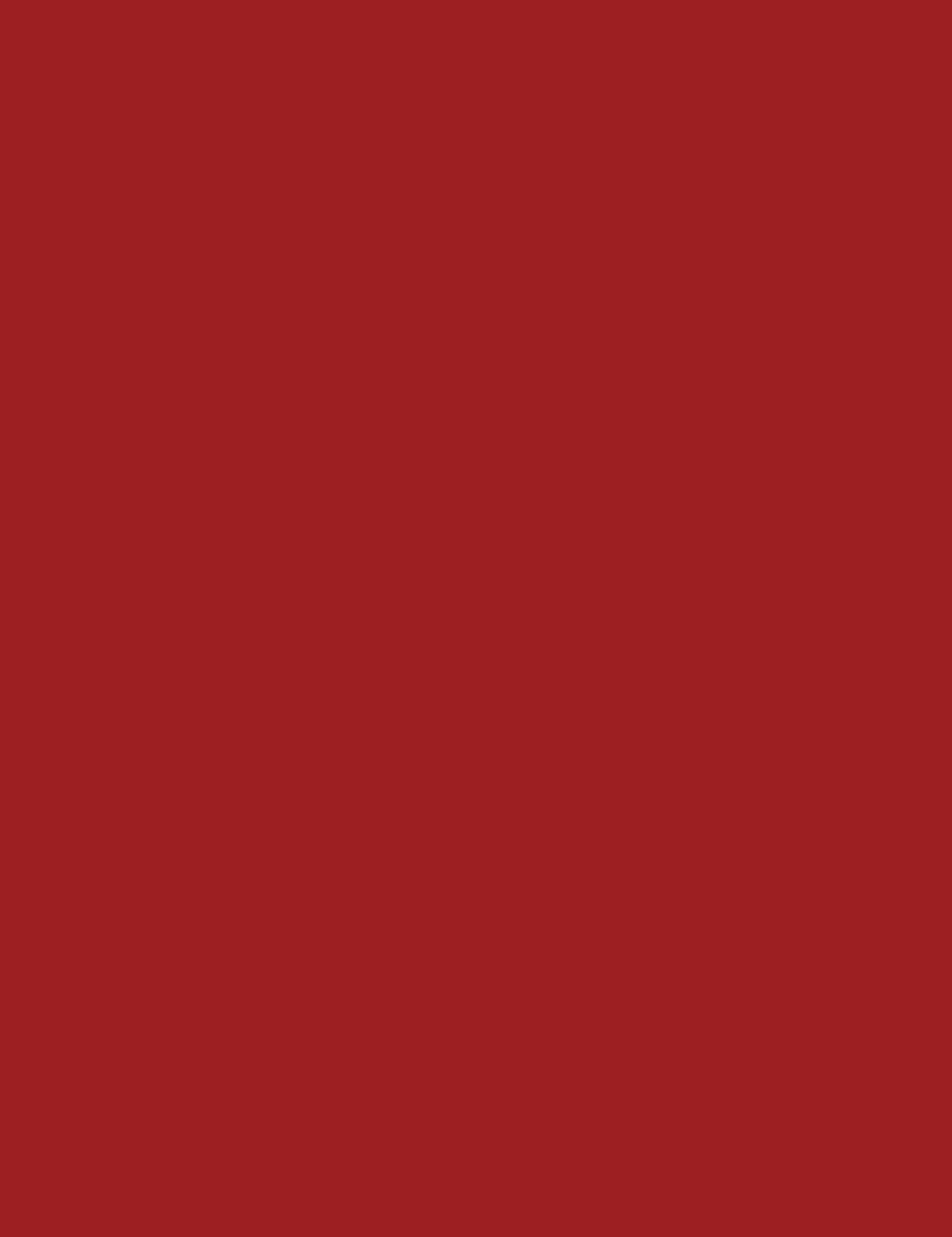 

Rimmel London 500 Redical Stay Satin Pomadka 5,5ml (W)