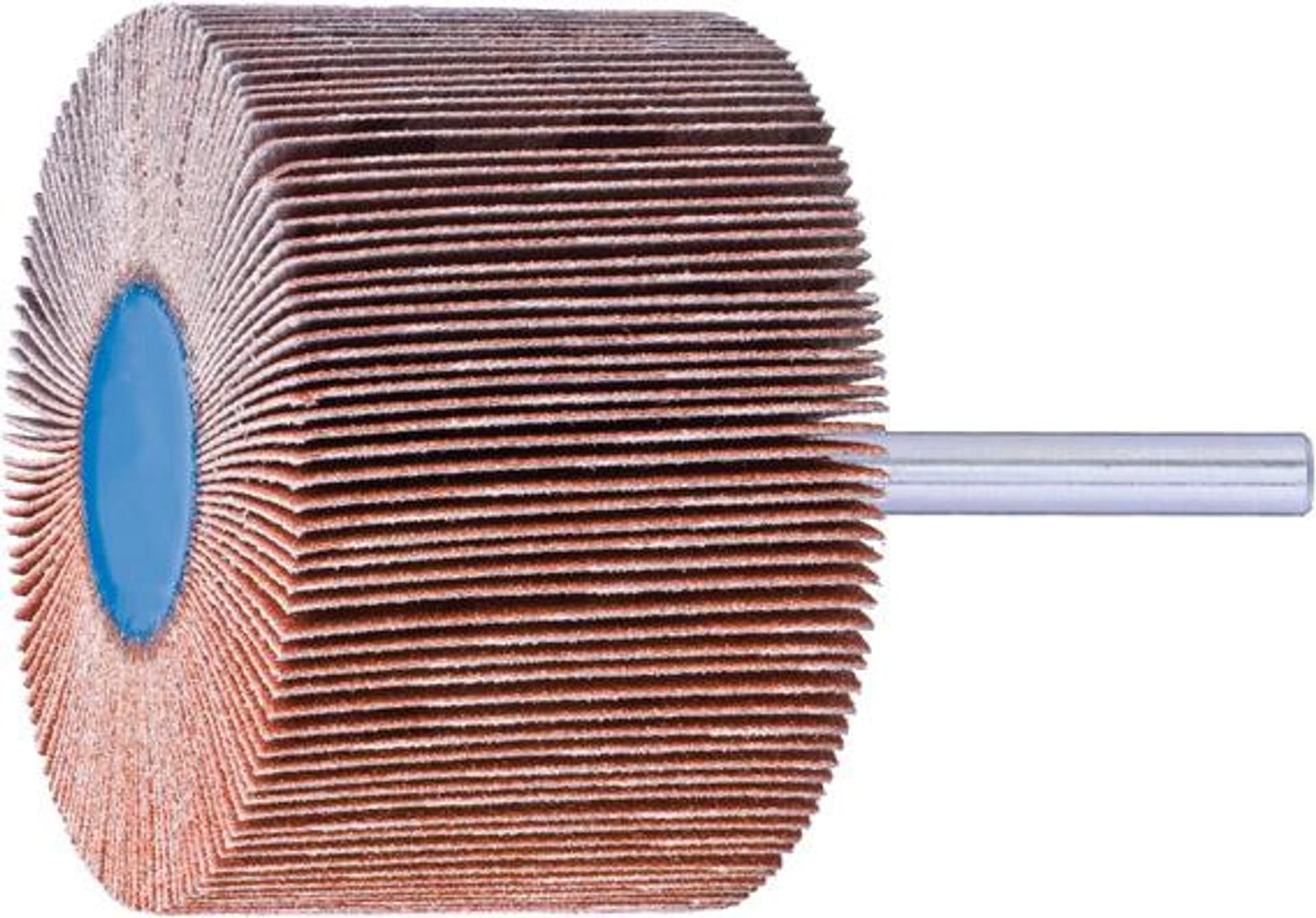 

Sciernica wachlarz. CO-COOL 60x30mm K80 Pferd