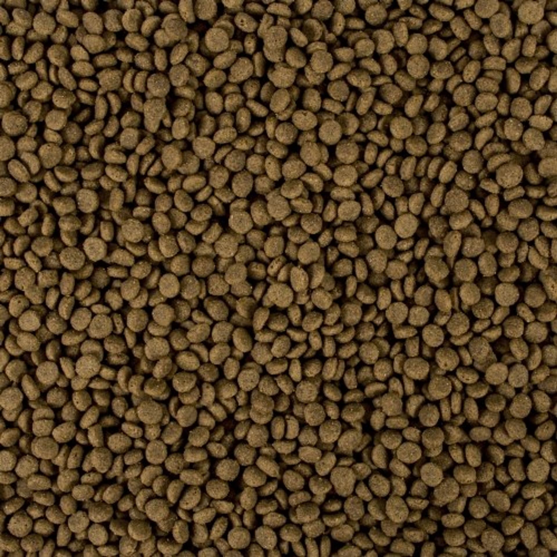

TROPICAT Premium Adult odkłaczająca 10KG