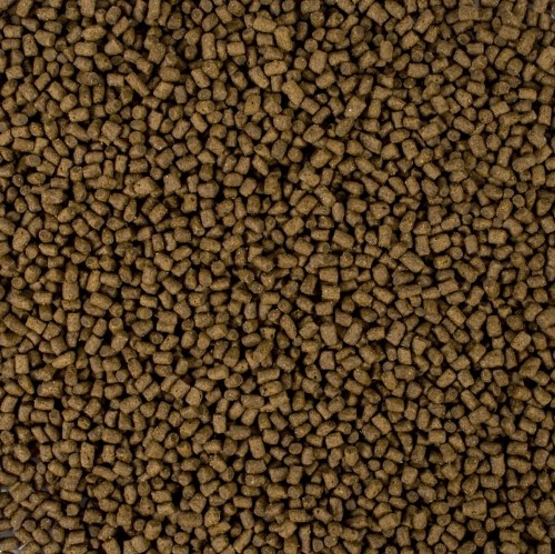 

TROPICAT Premium Kitten bezzbożowa 2KG