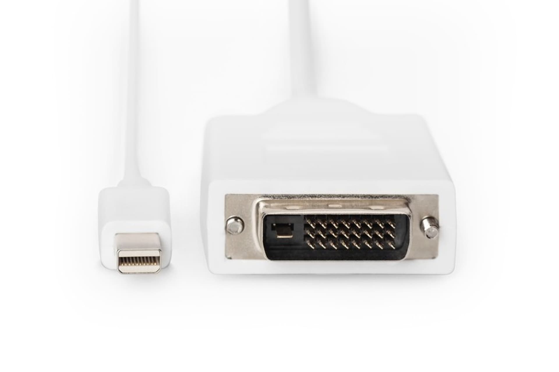 

Kabel adapter Displayport 1080p 60Hz FHD Typ miniDP/DVI-D (24+1) M/M biały 2m, 24+1) m/m biały 2