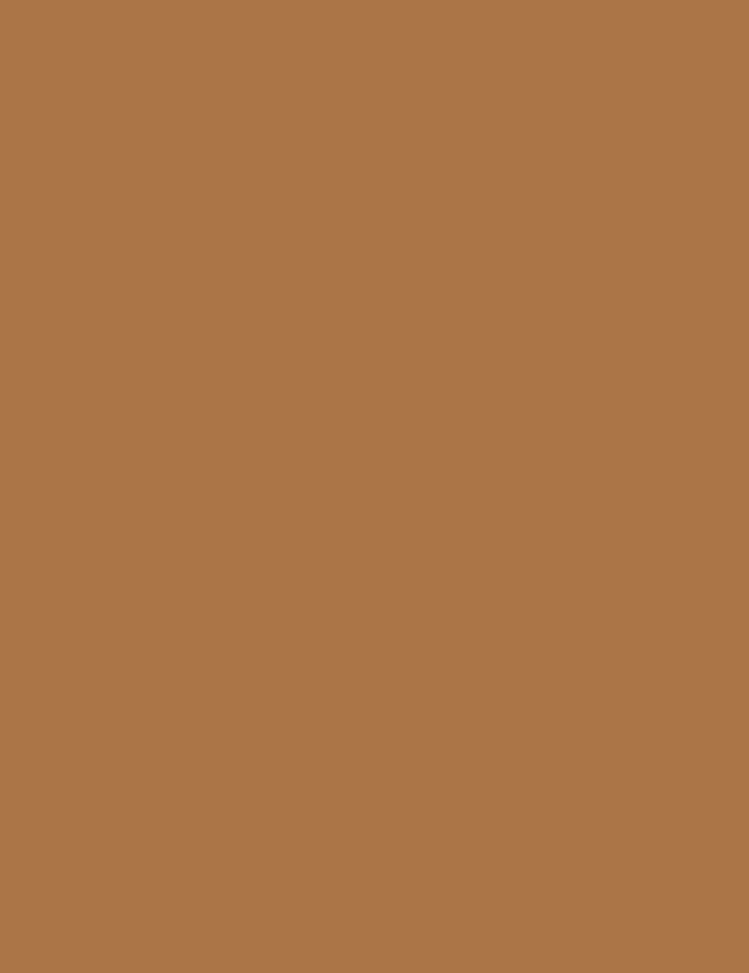 

Bourjois 60 Dark Amber Anti-Fatigue Foundation Healthy Mix Podkład 30ml (W)